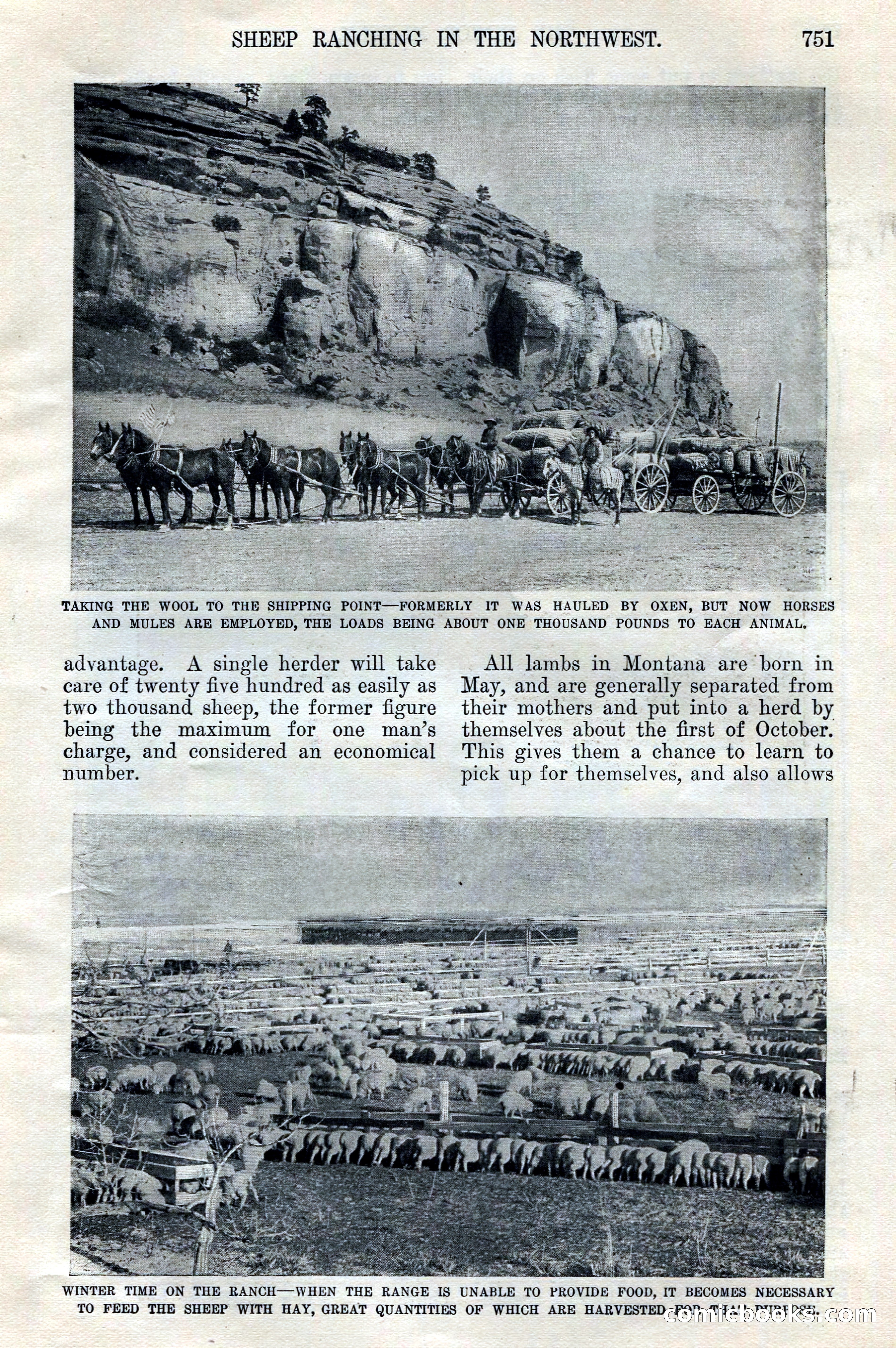 The Junior Munsey, Vol. VIII, No. 6 — page 11 of 164