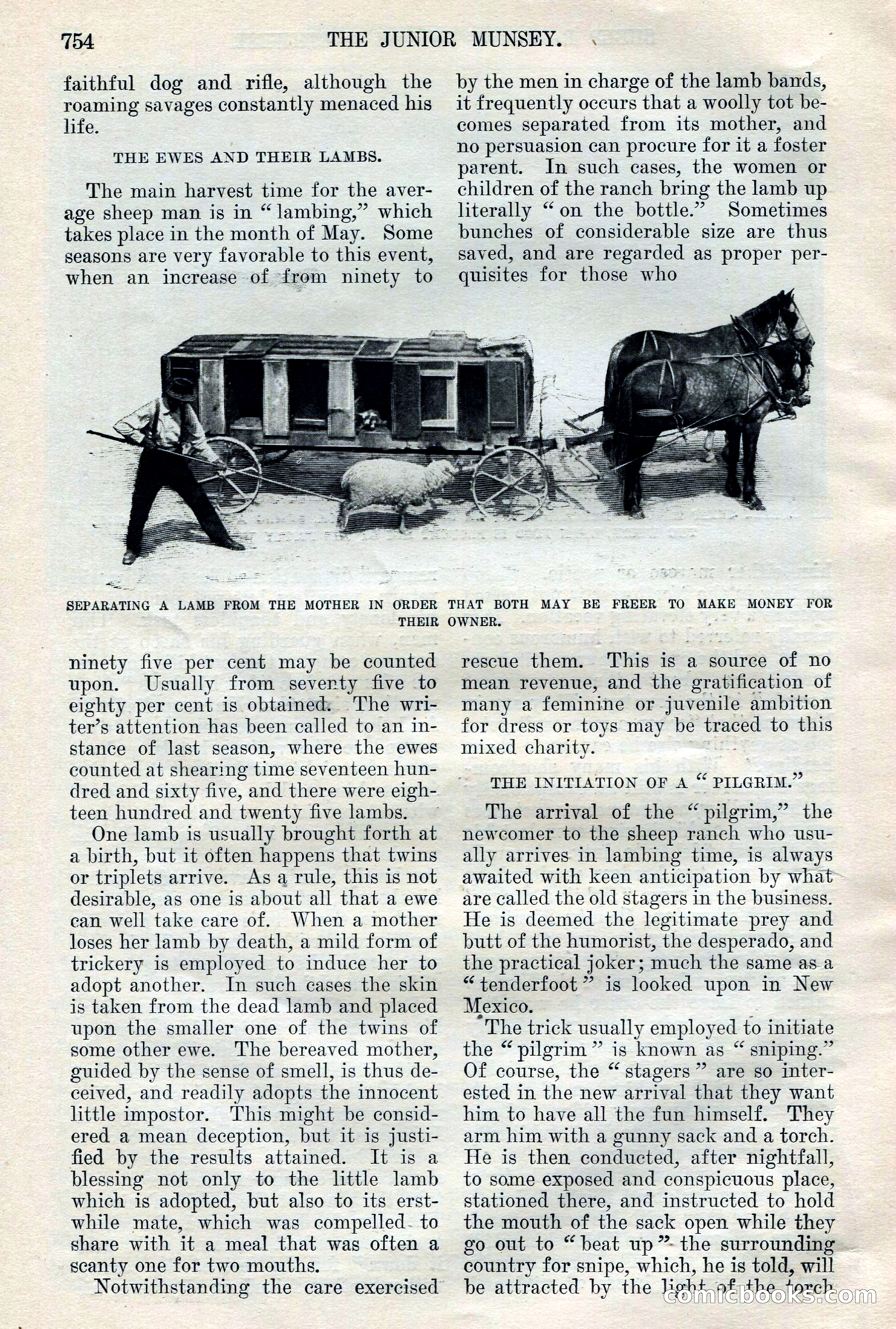 The Junior Munsey, Vol. VIII, No. 6 — page 14 of 164