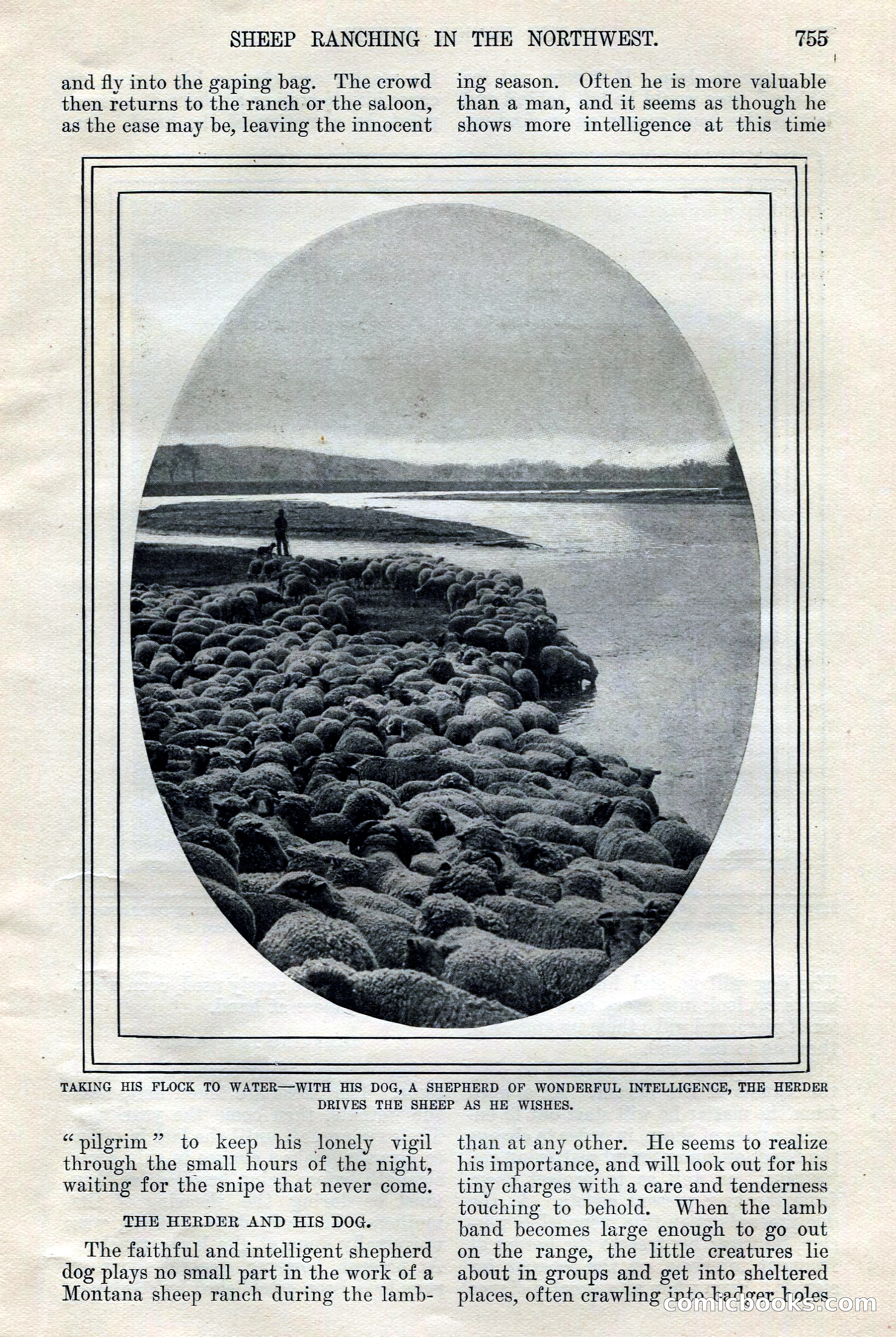 The Junior Munsey, Vol. VIII, No. 6 — page 15 of 164