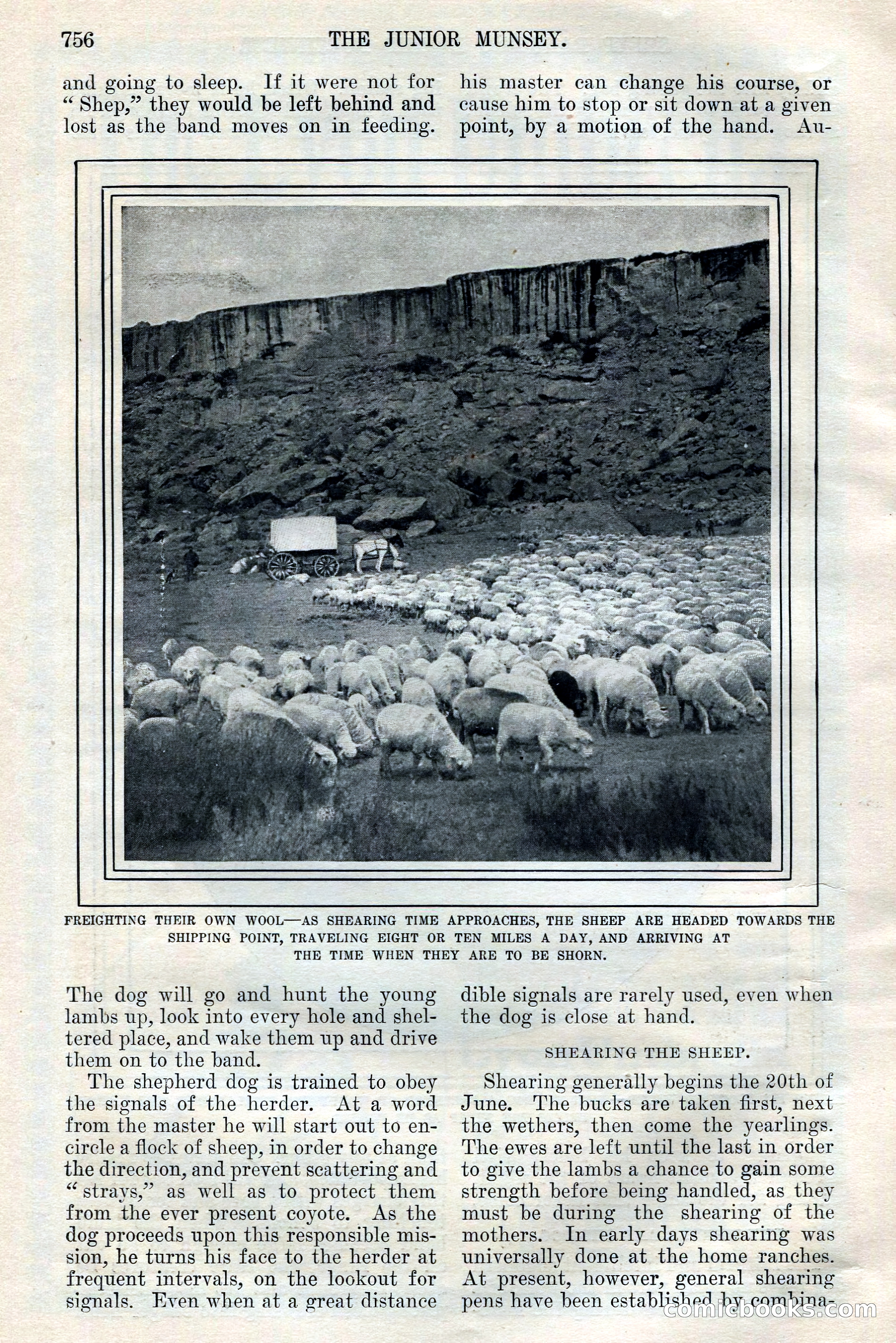 The Junior Munsey, Vol. VIII, No. 6 — page 16 of 164