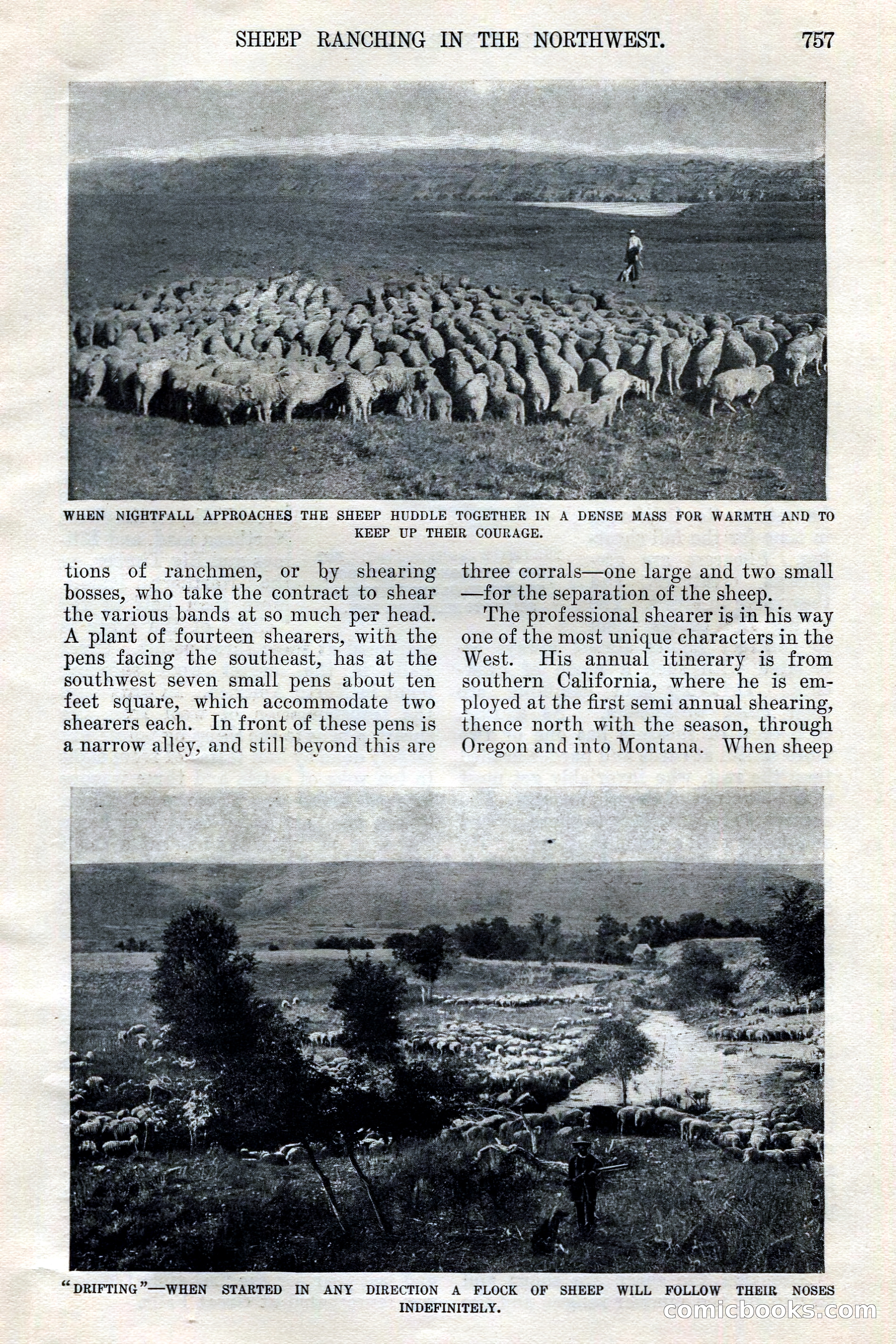 The Junior Munsey, Vol. VIII, No. 6 — page 17 of 164