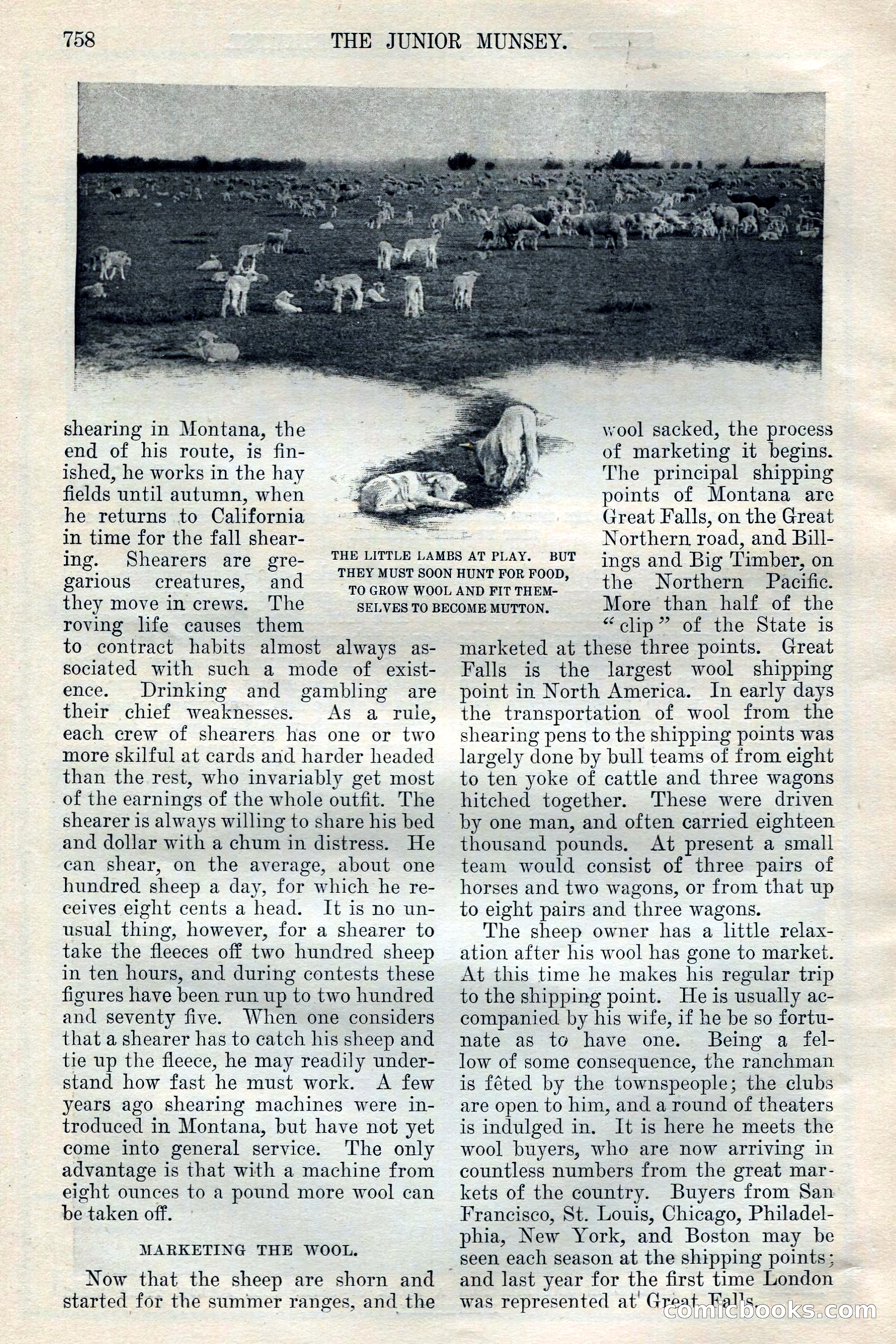 The Junior Munsey, Vol. VIII, No. 6 — page 18 of 164
