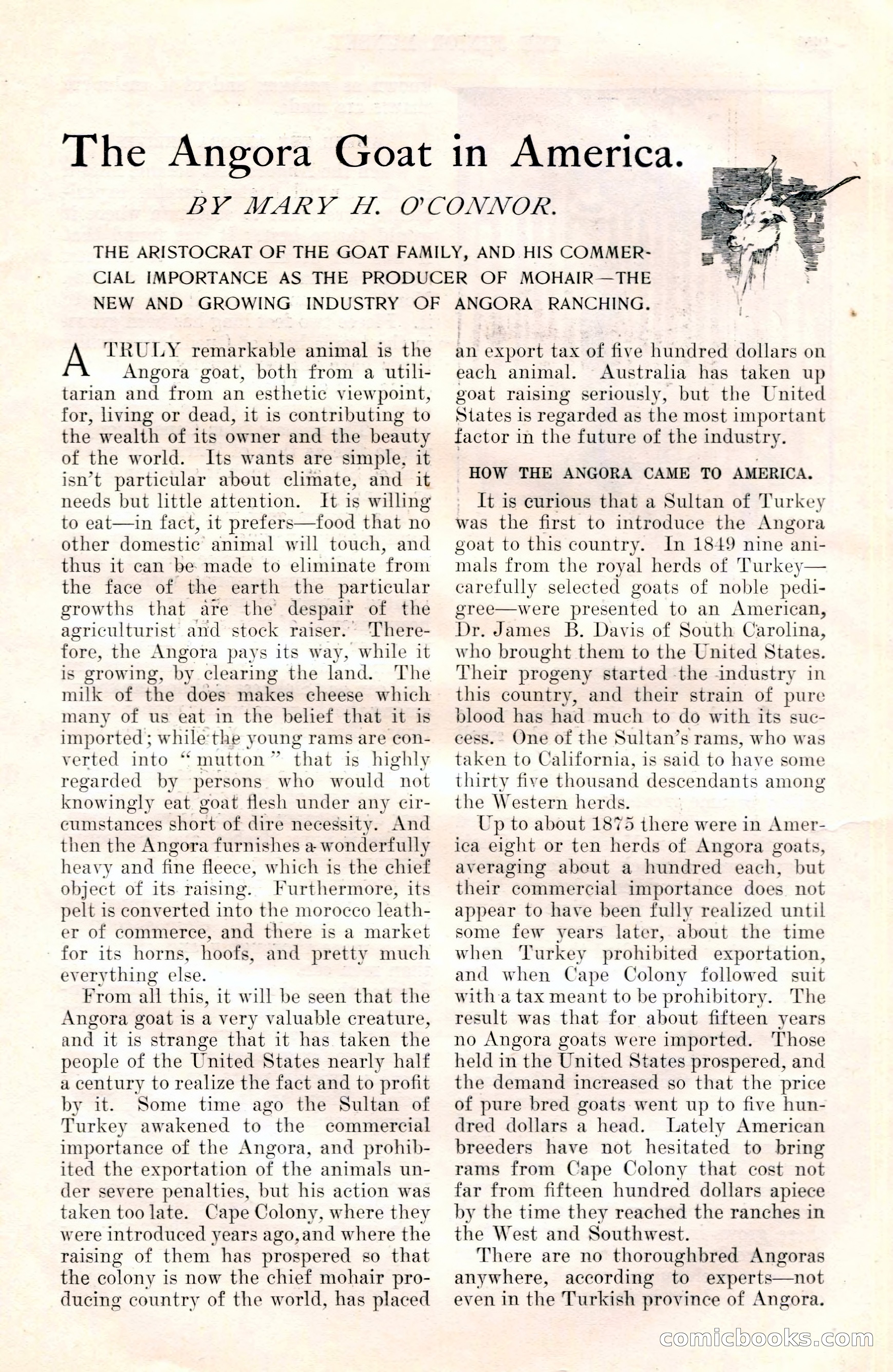 The Junior Munsey and The Puritan — page 51 of 192