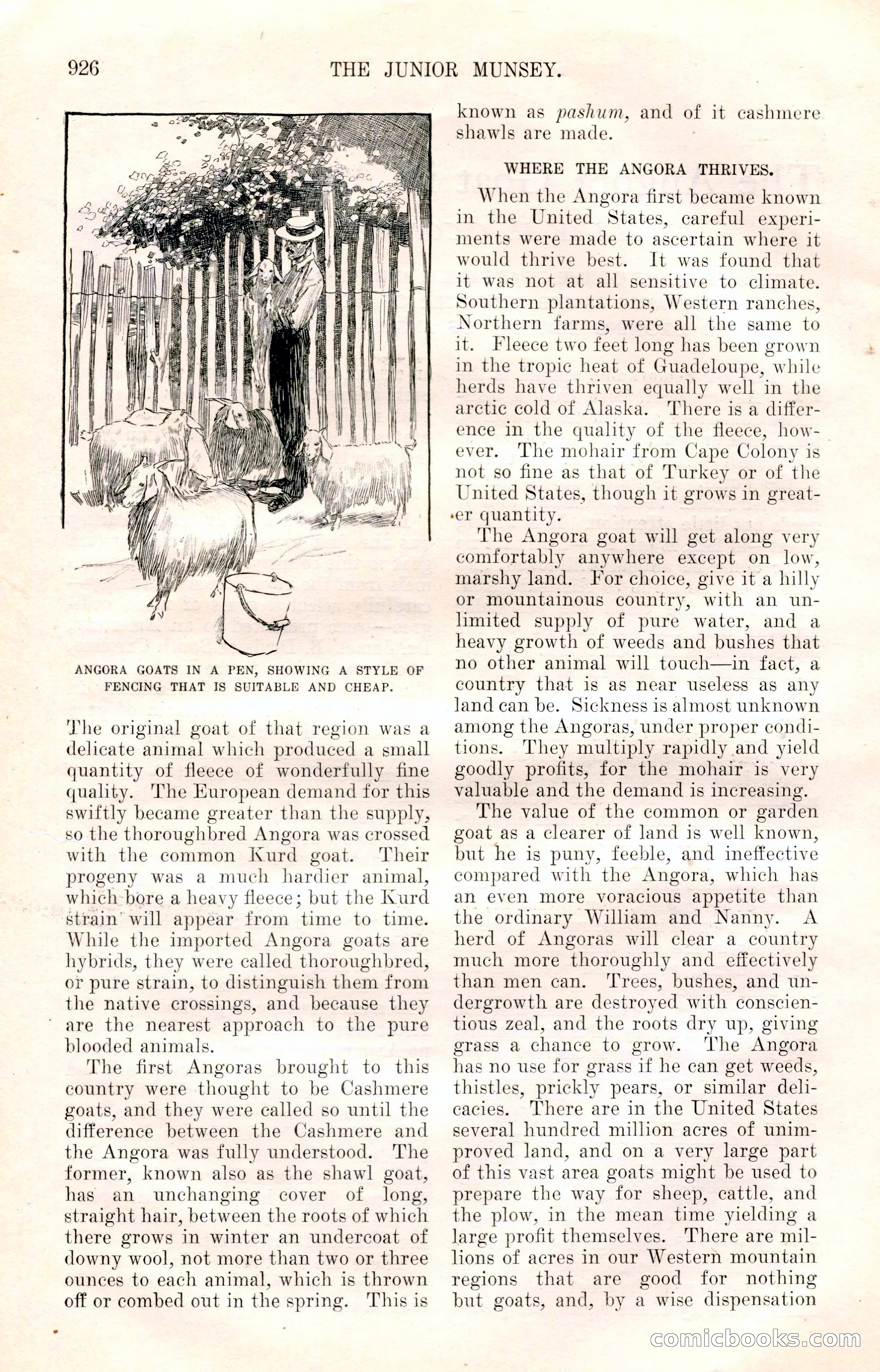 The Junior Munsey and The Puritan — page 52 of 192