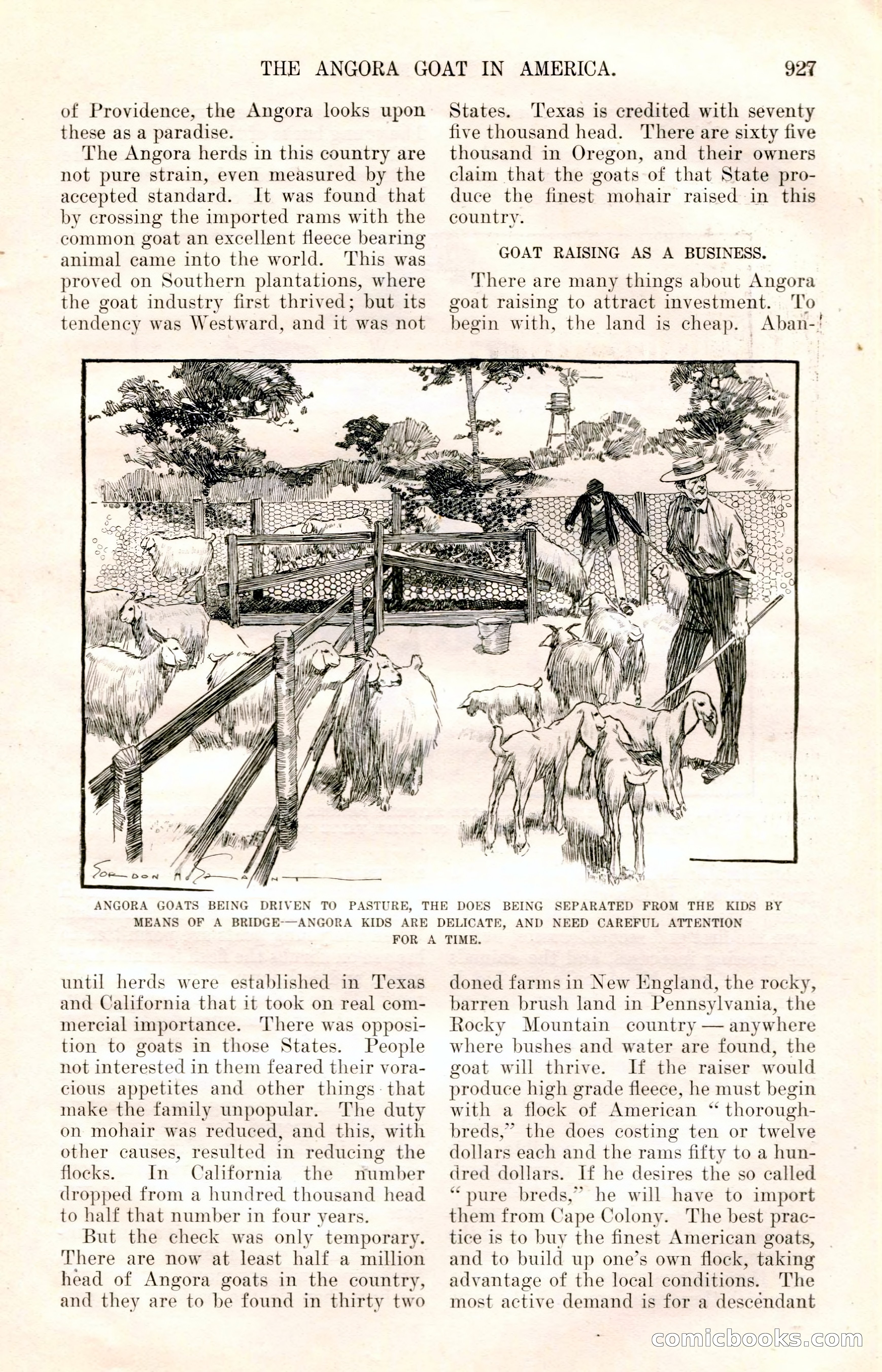 The Junior Munsey and The Puritan — page 53 of 192