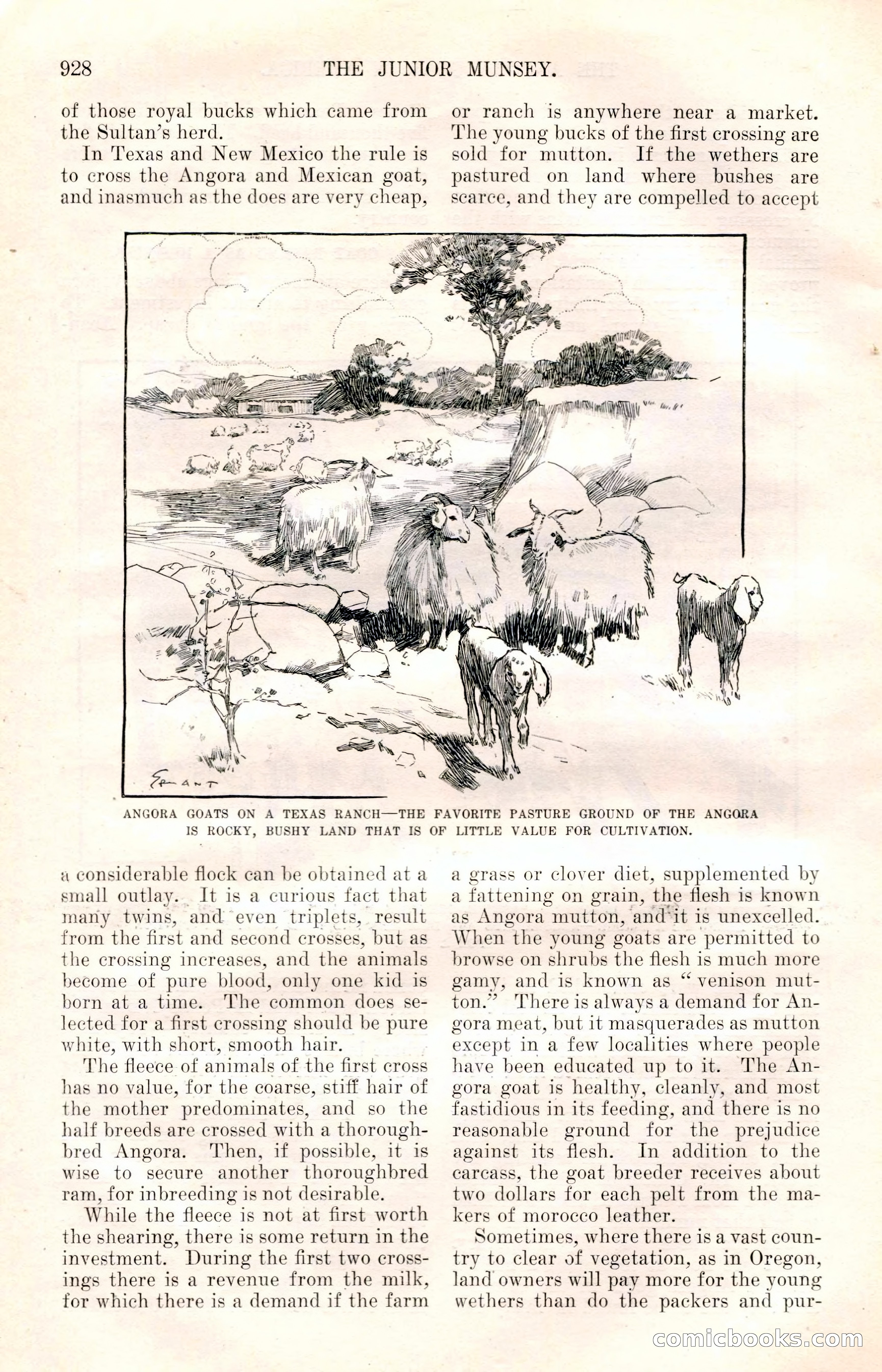 The Junior Munsey and The Puritan — page 54 of 192