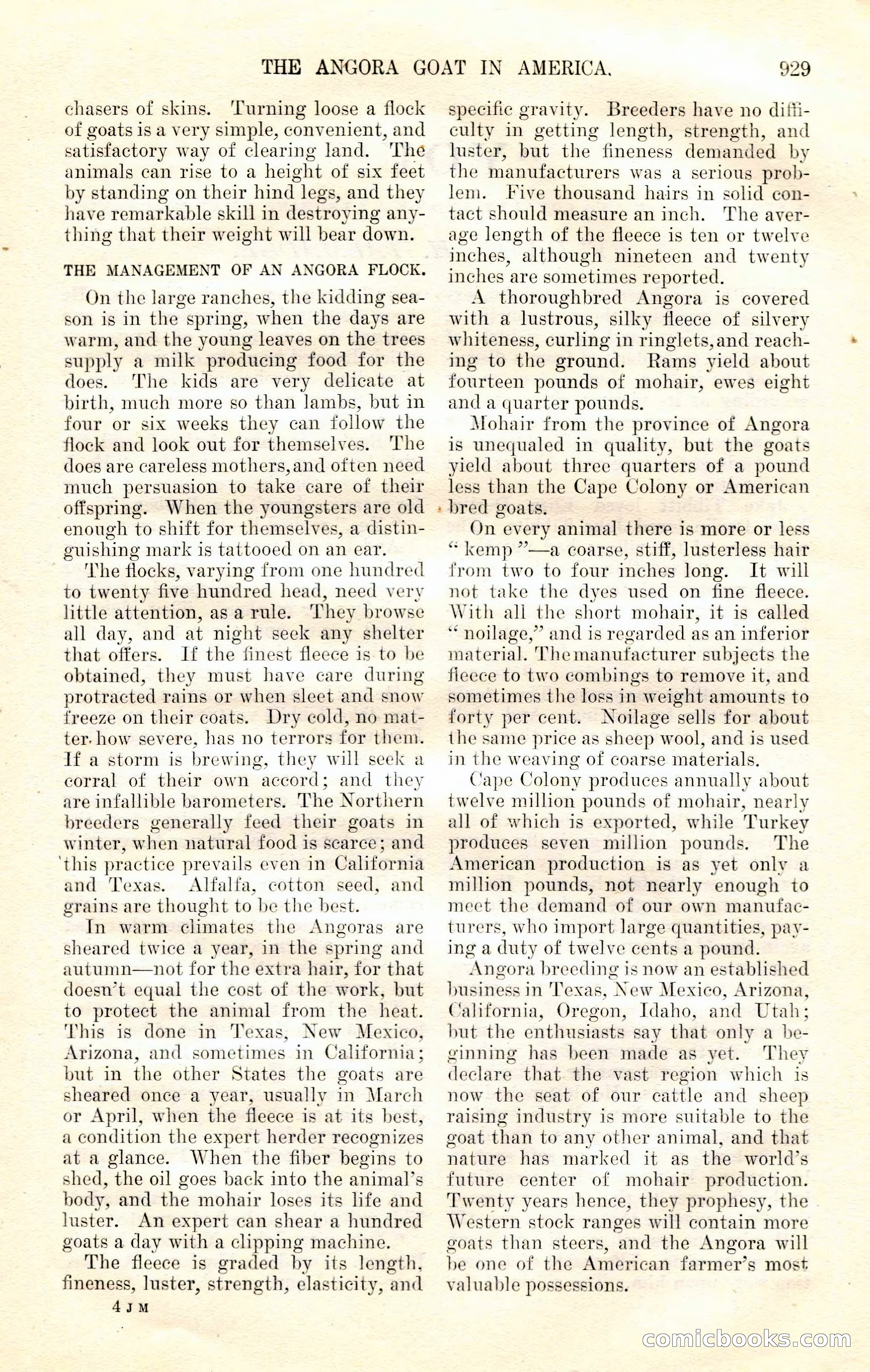 The Junior Munsey and The Puritan — page 55 of 192