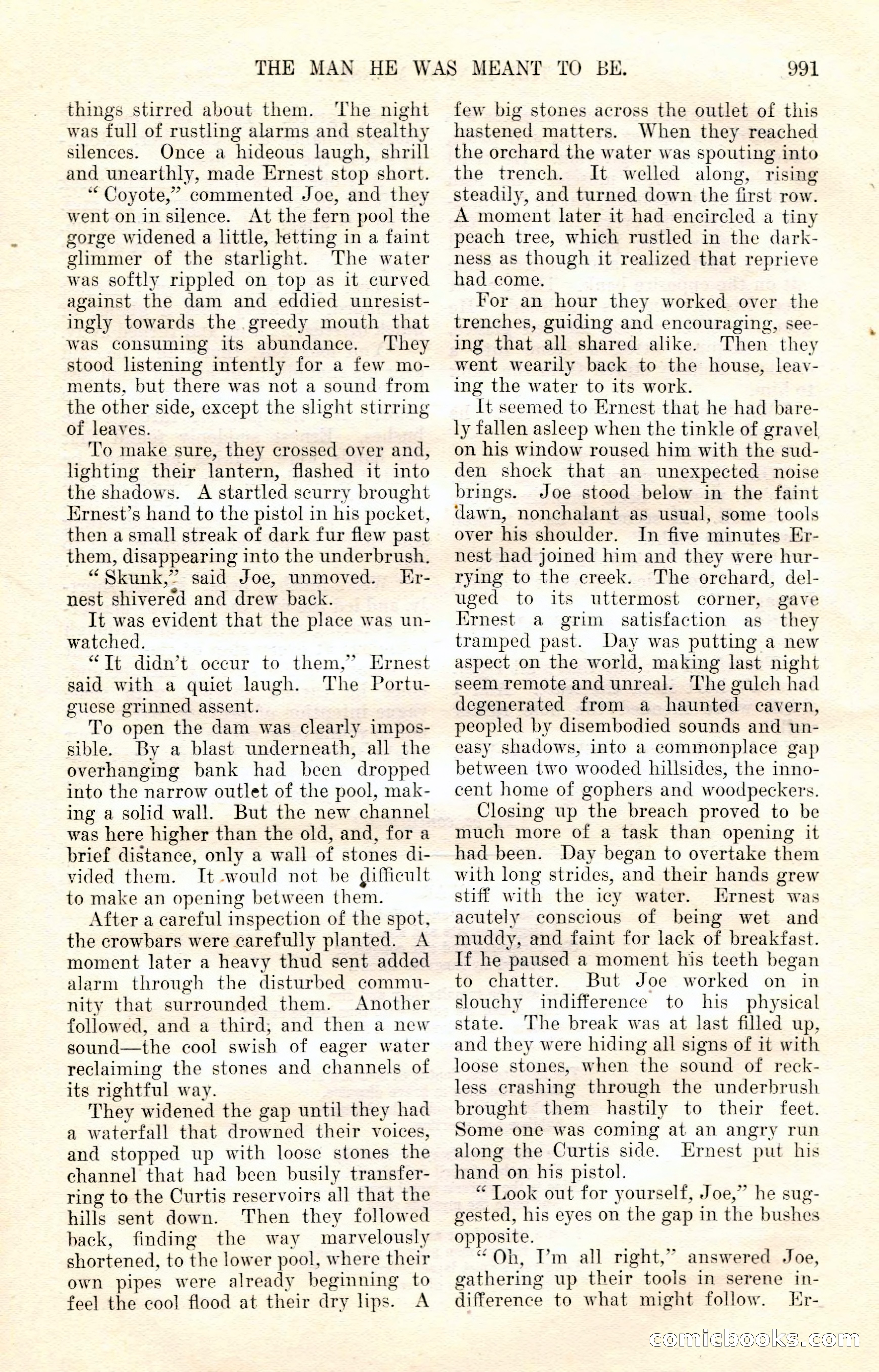 The Junior Munsey and The Puritan — page 117 of 192