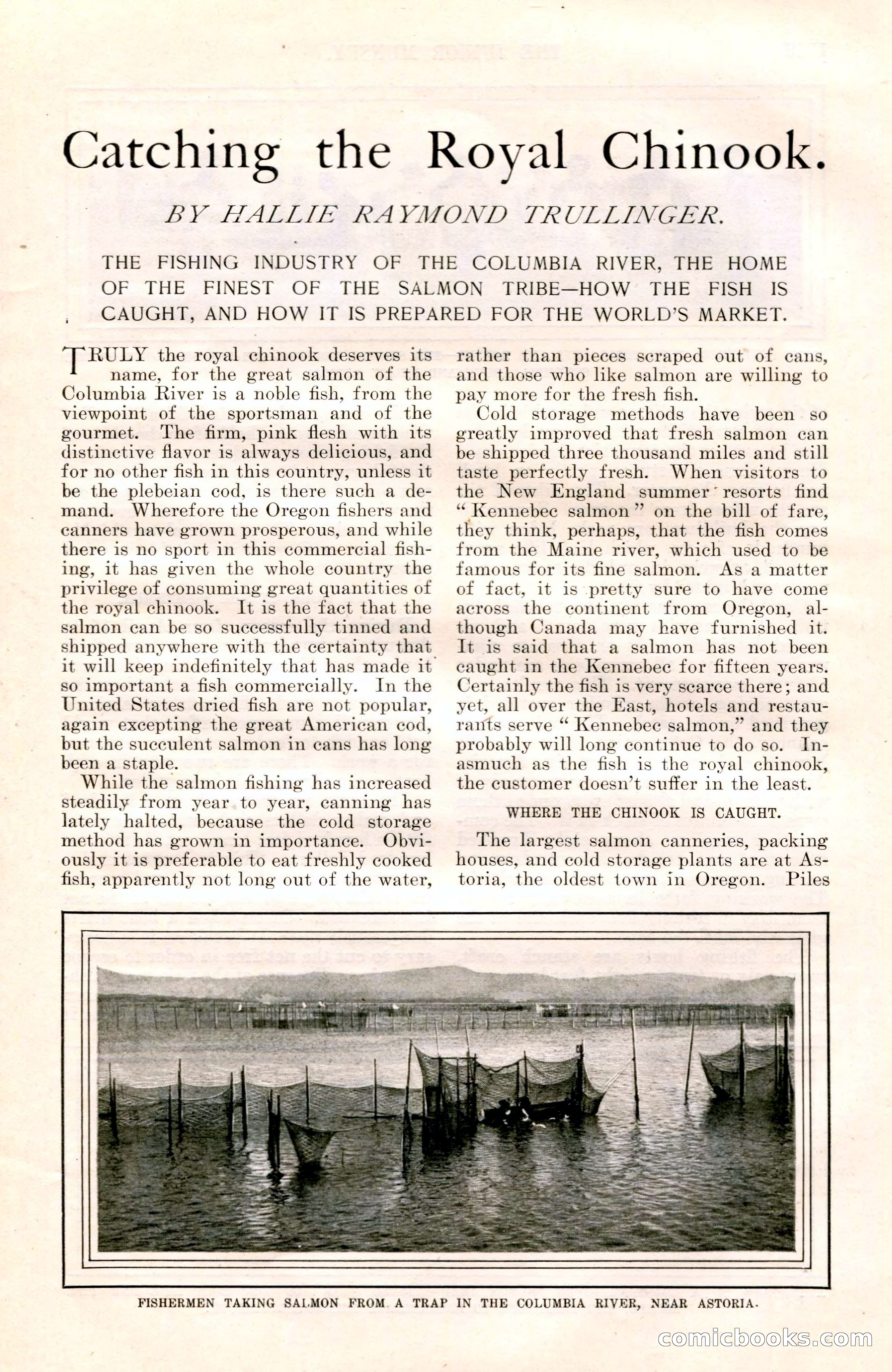 The Junior Munsey and The Puritan — page 141 of 192