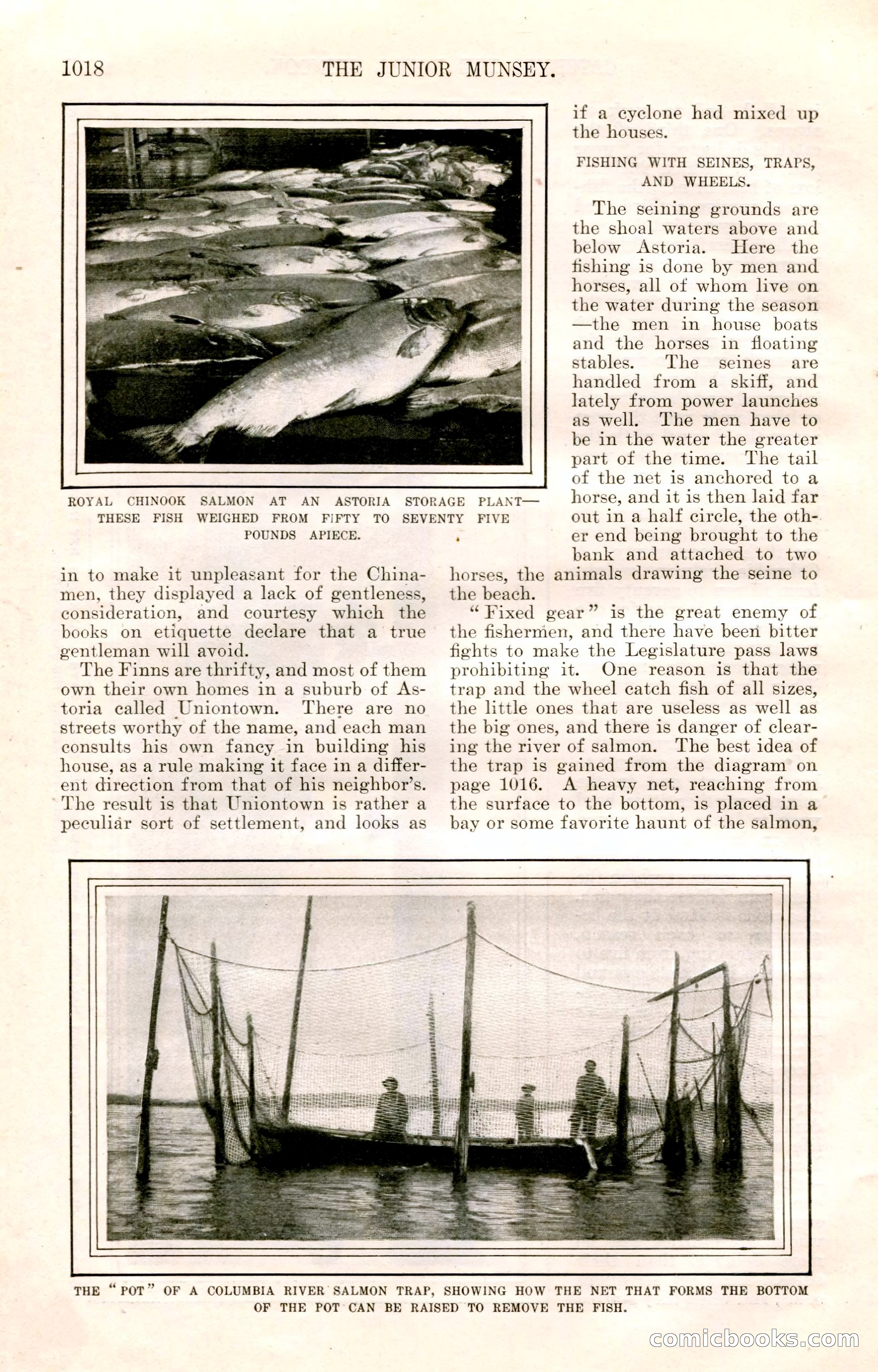The Junior Munsey and The Puritan — page 144 of 192