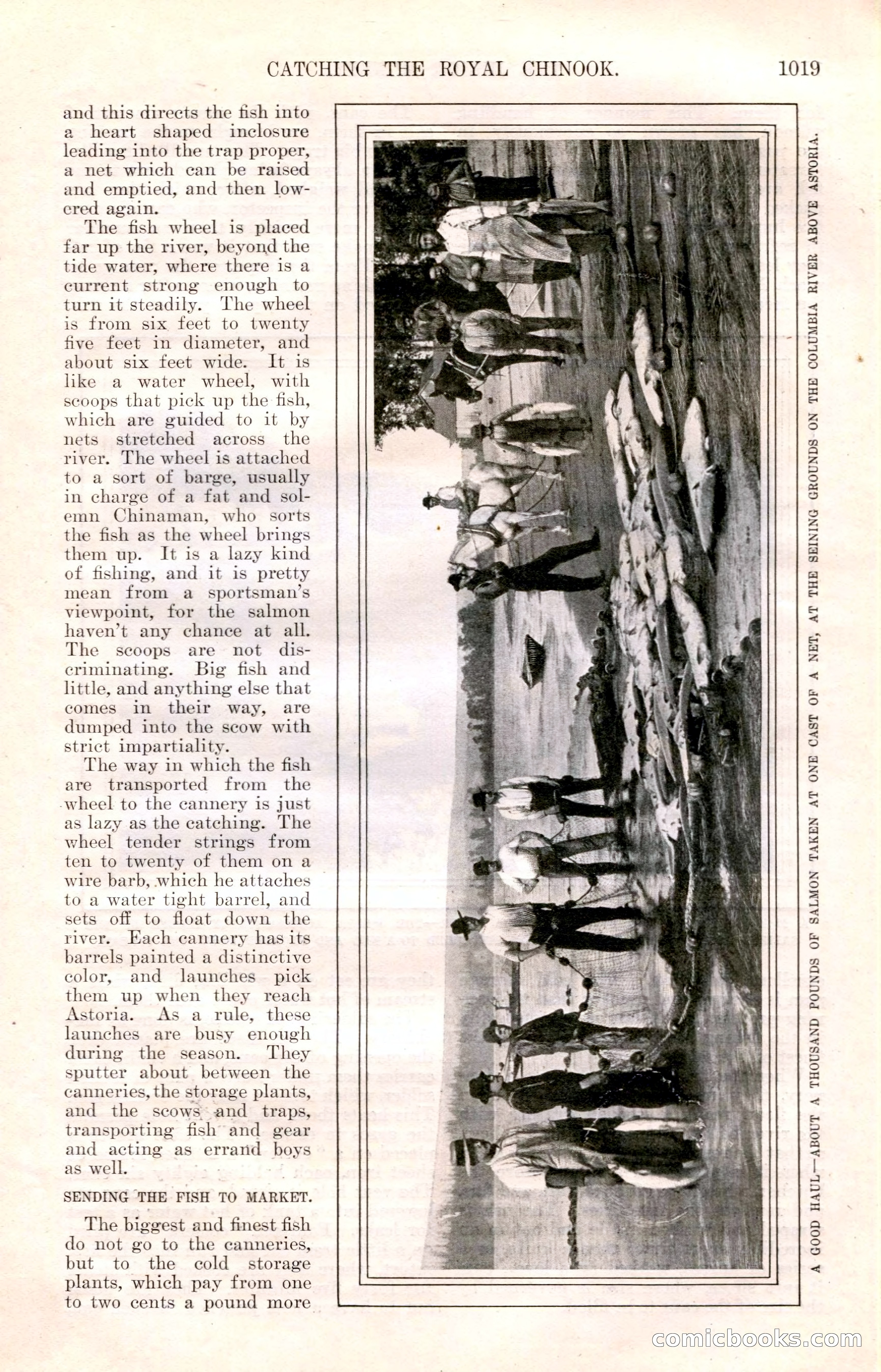 The Junior Munsey and The Puritan — page 145 of 192