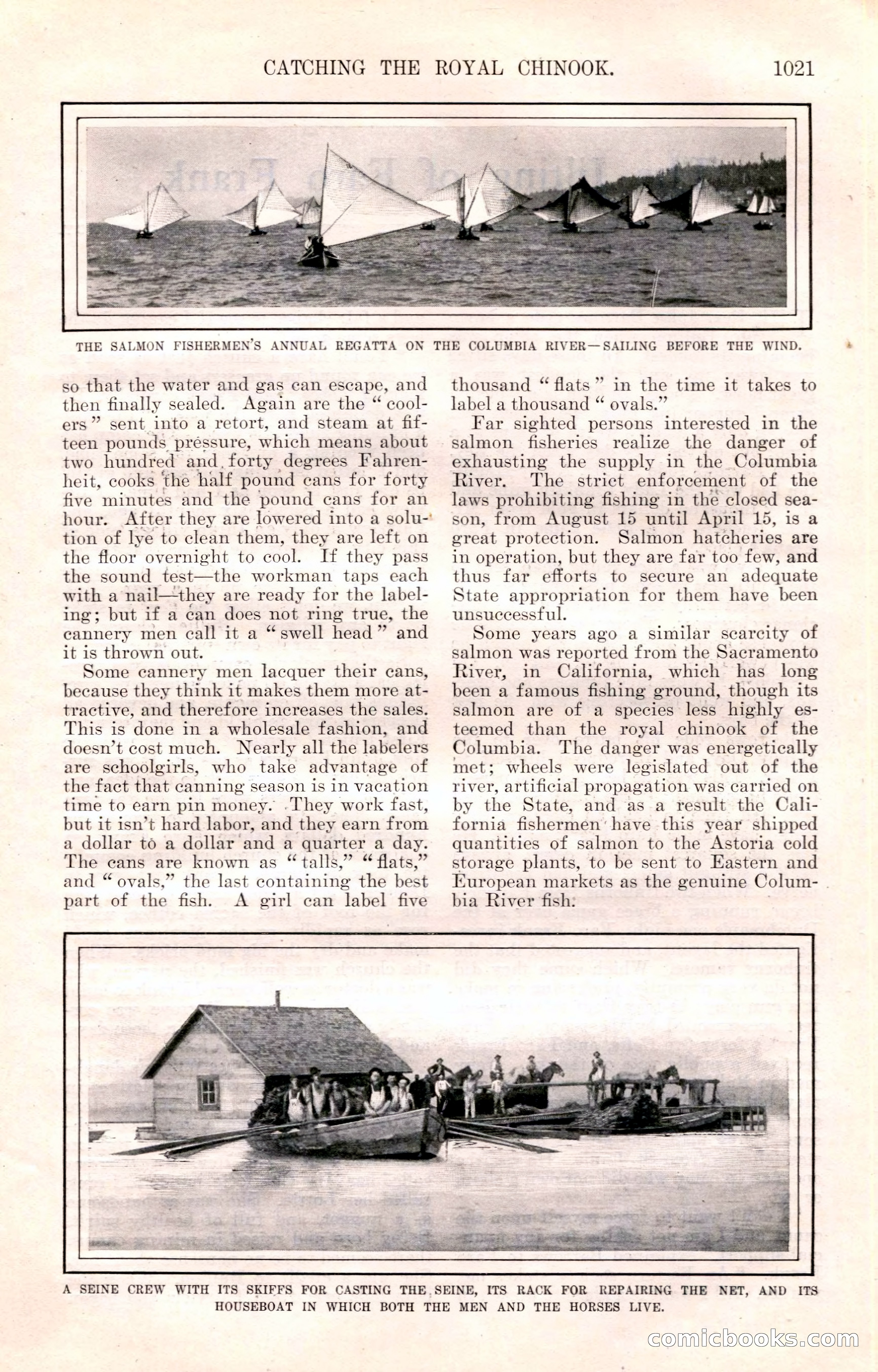 The Junior Munsey and The Puritan — page 147 of 192