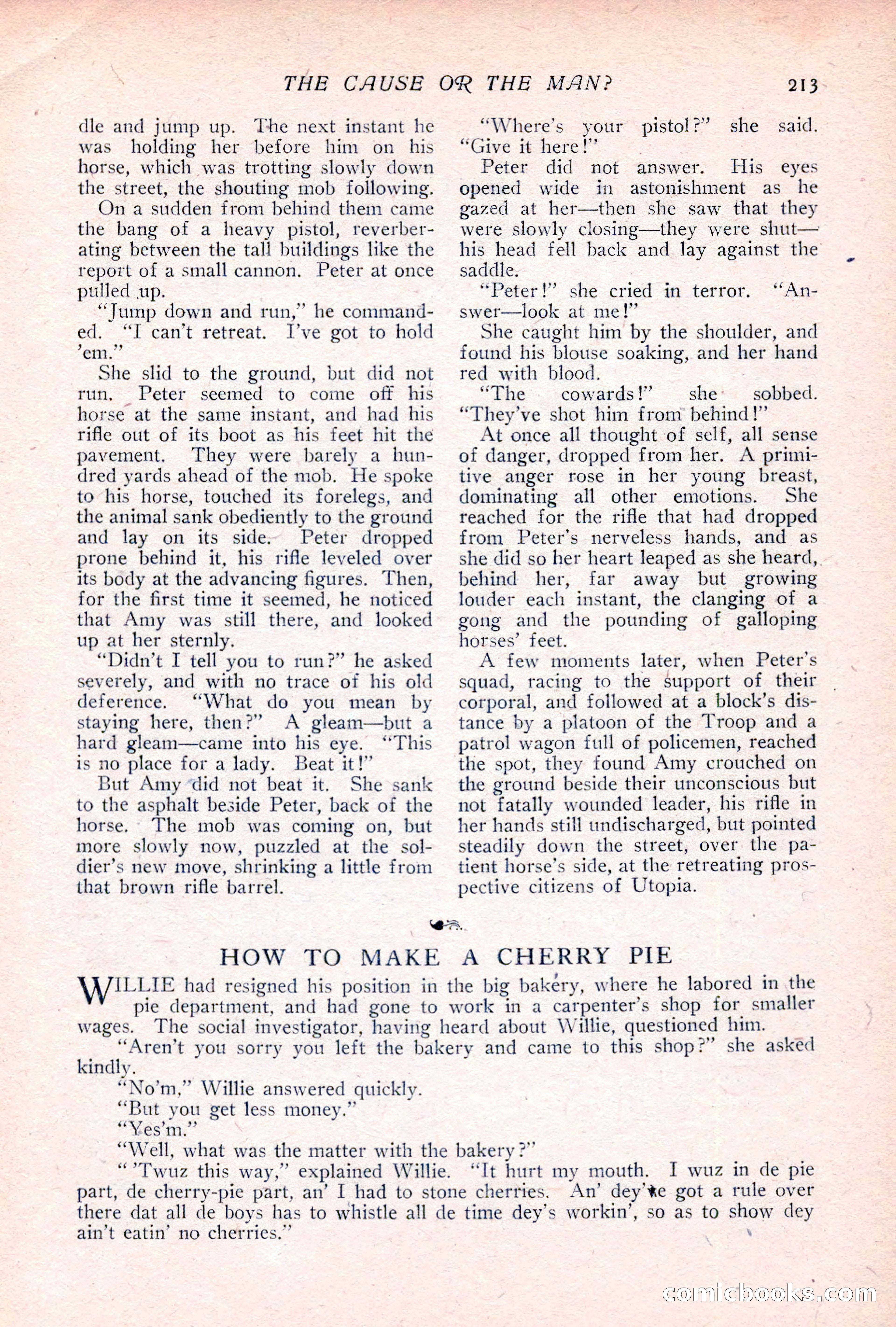 The Popular Magazine, Vol. 32, No. 2 — page 223 of 262