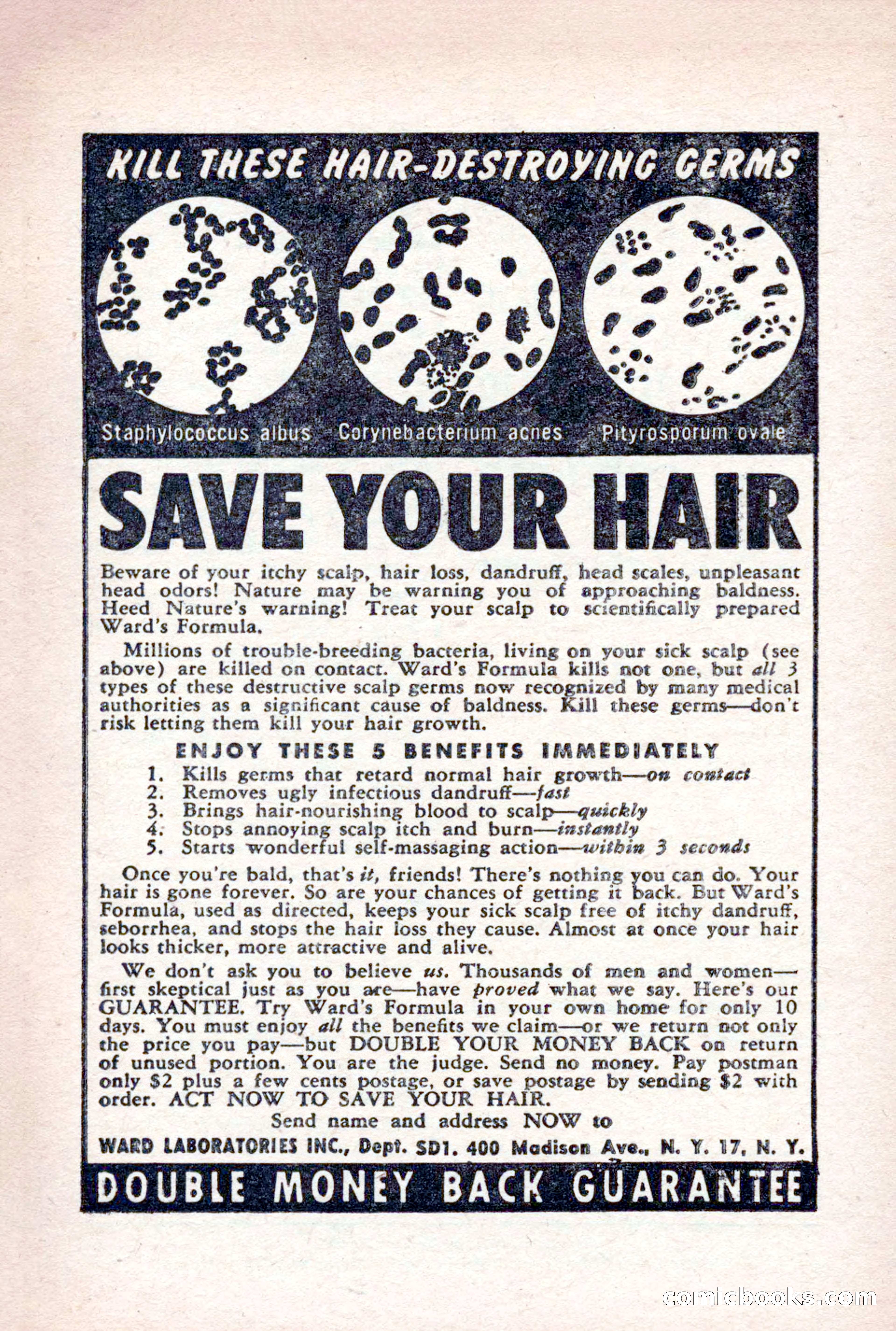 The Saint Detective Magazine — page 5 of 164