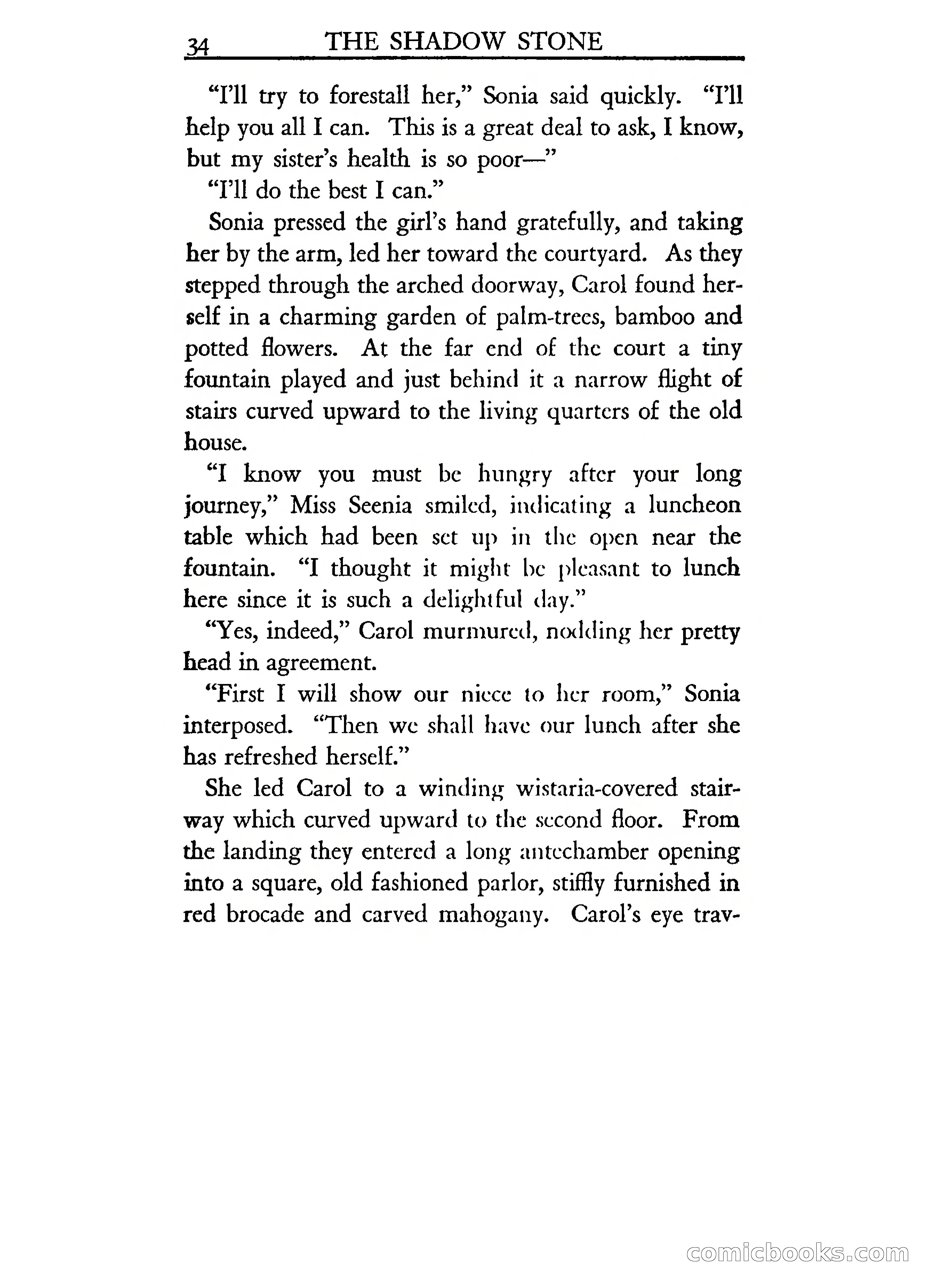 The Shadow Stone — page 39 of 217