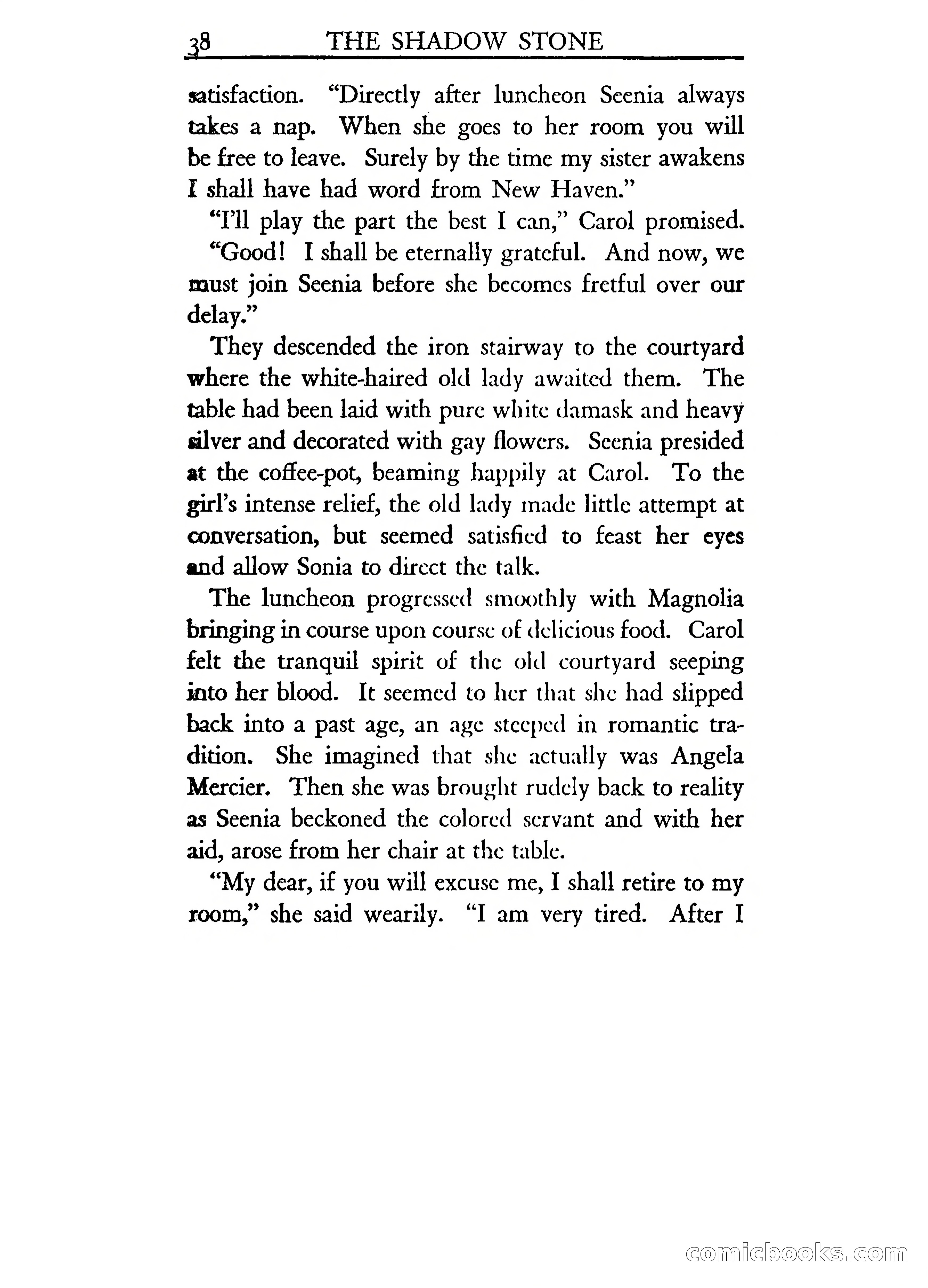 The Shadow Stone — page 43 of 217