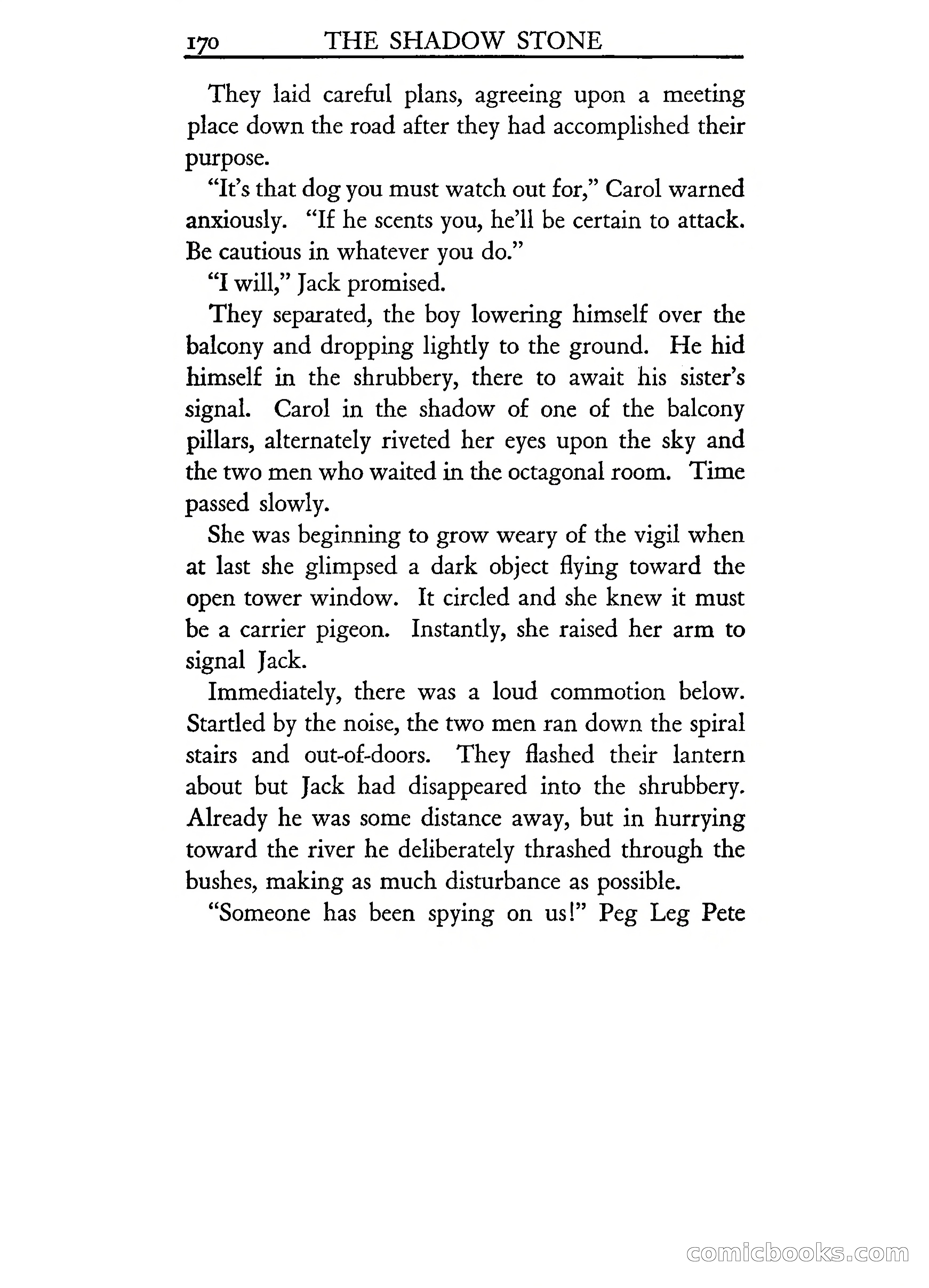 The Shadow Stone — page 175 of 217