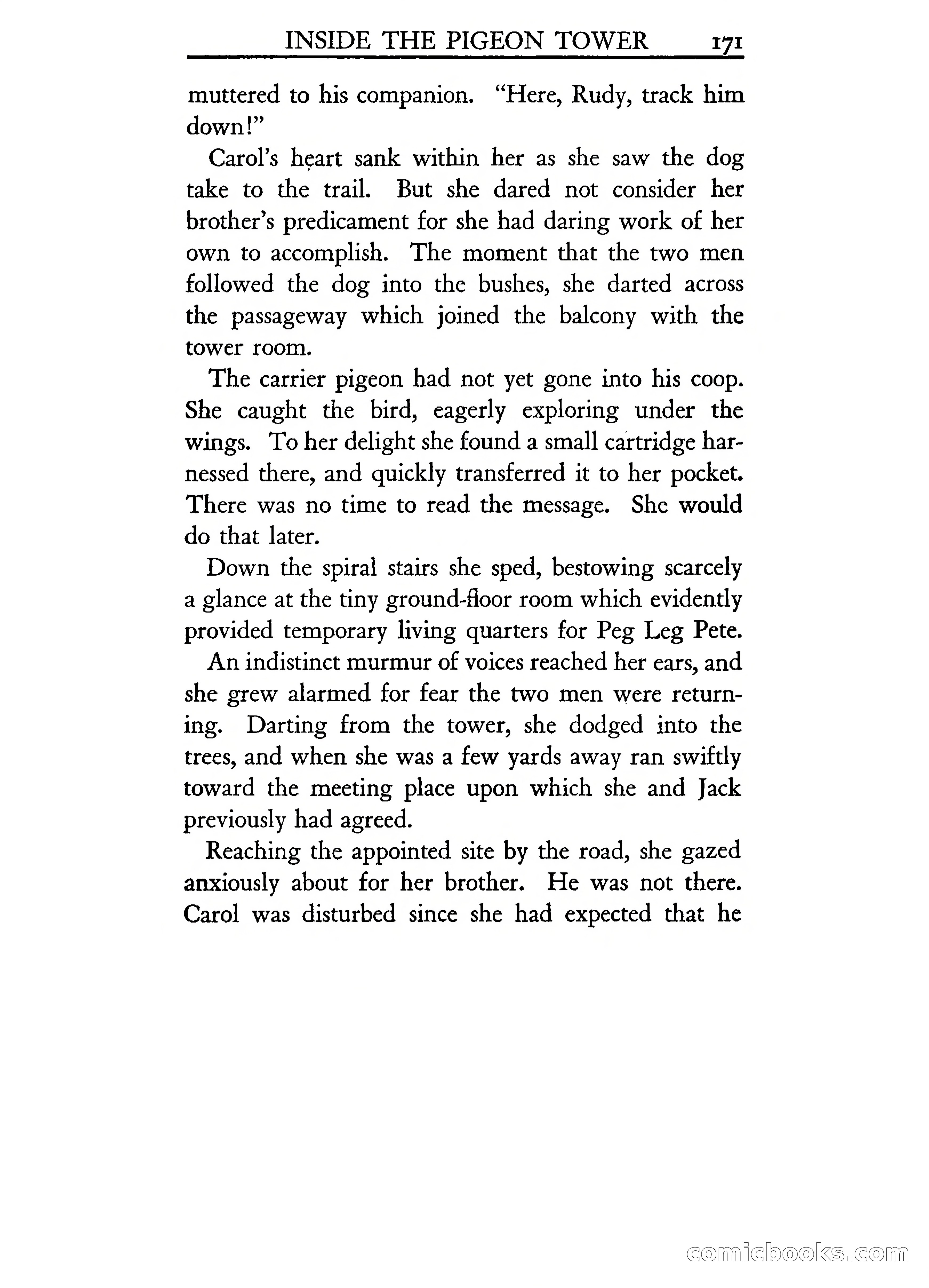The Shadow Stone — page 176 of 217