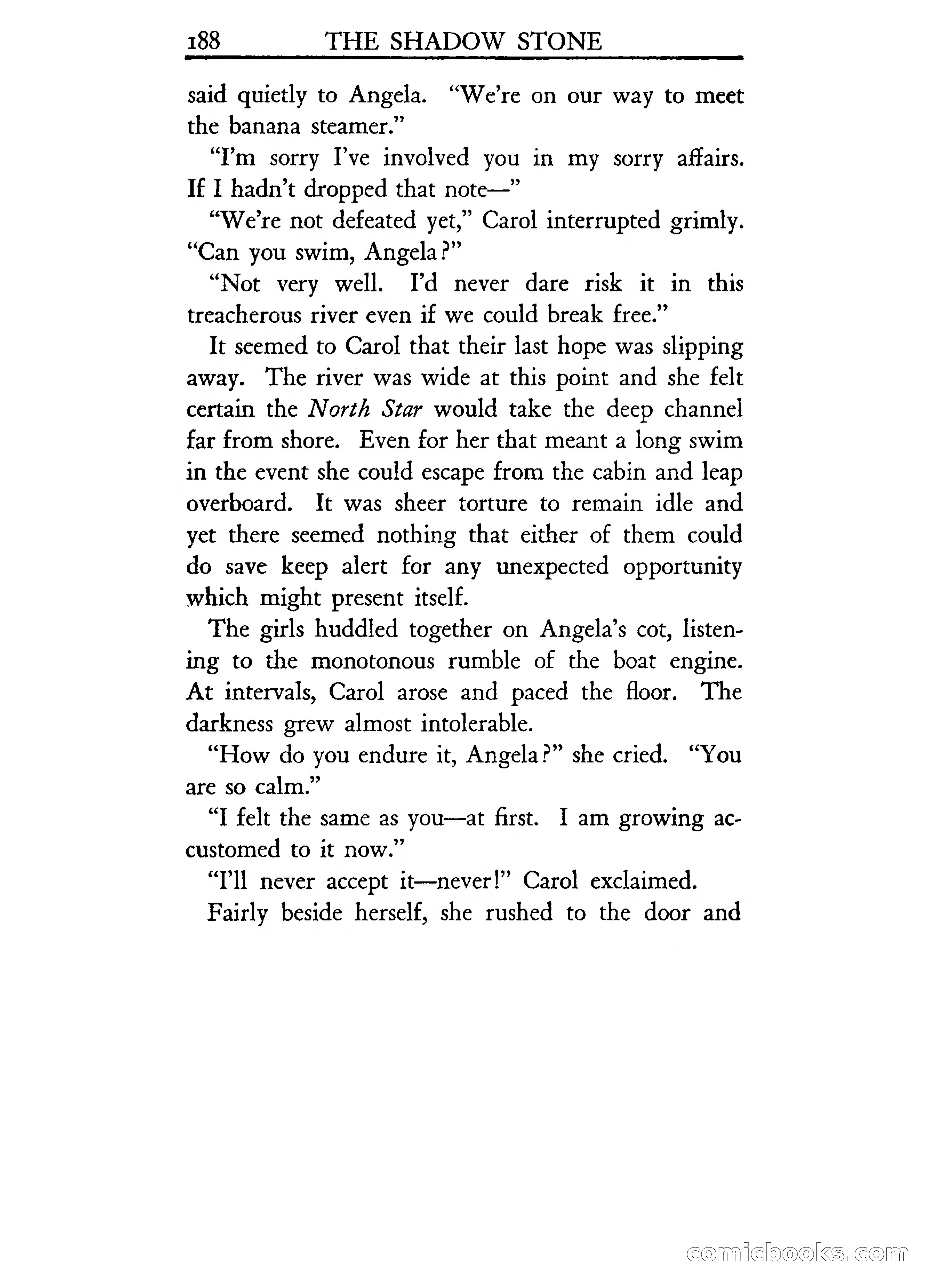 The Shadow Stone — page 193 of 217