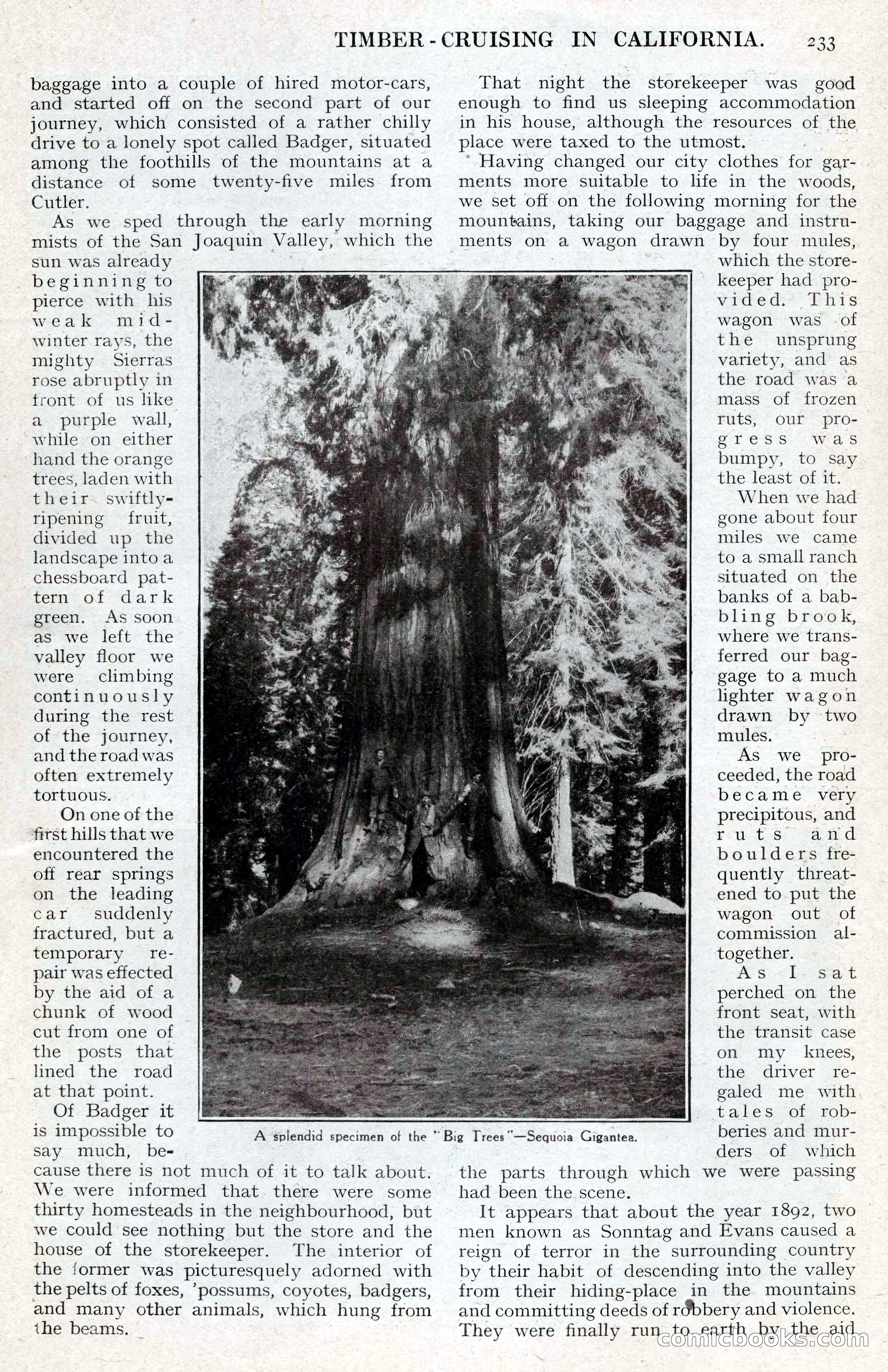 The Wide World, July 1920 — page 67 of 109