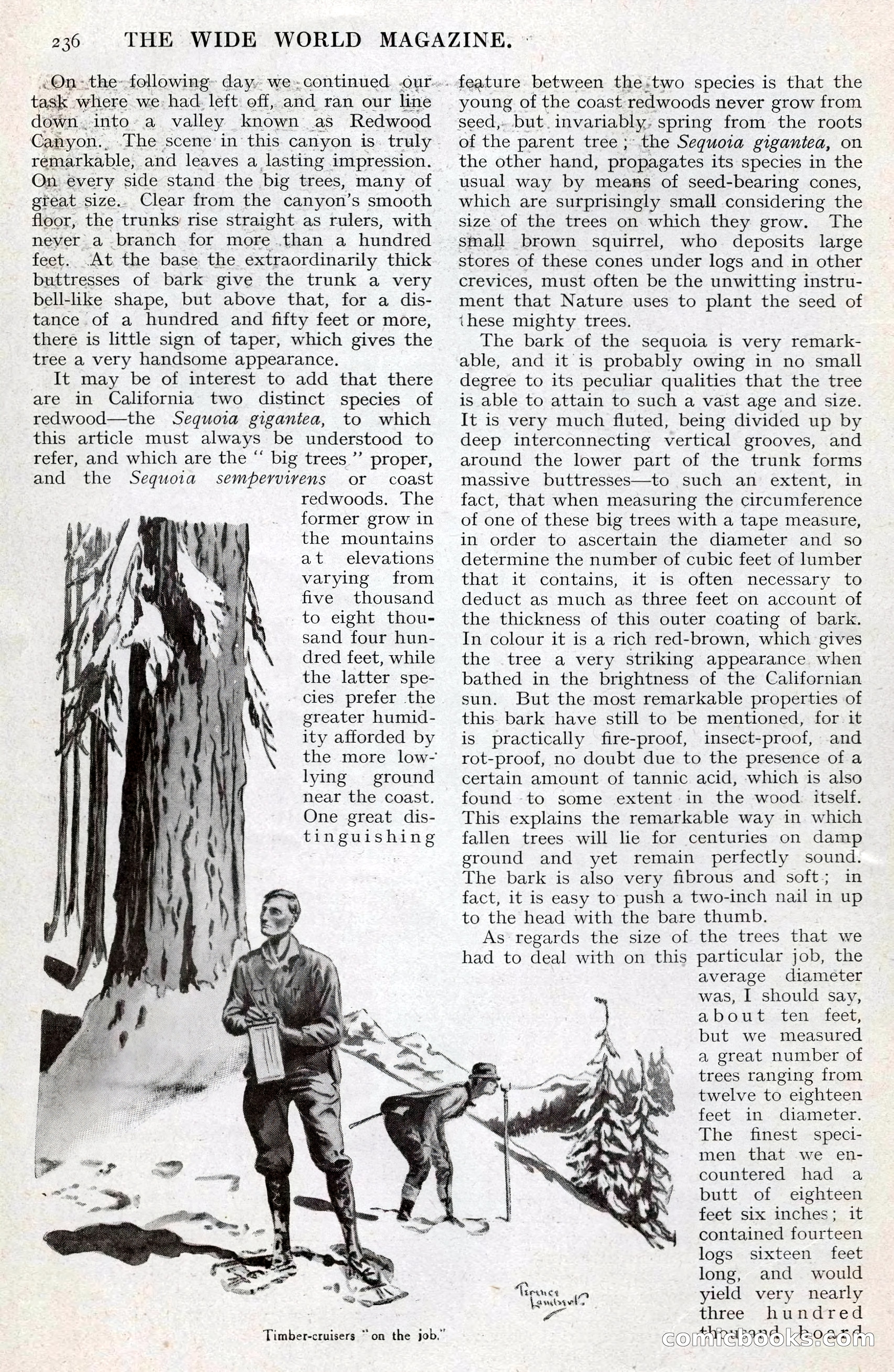 The Wide World, July 1920 — page 70 of 109