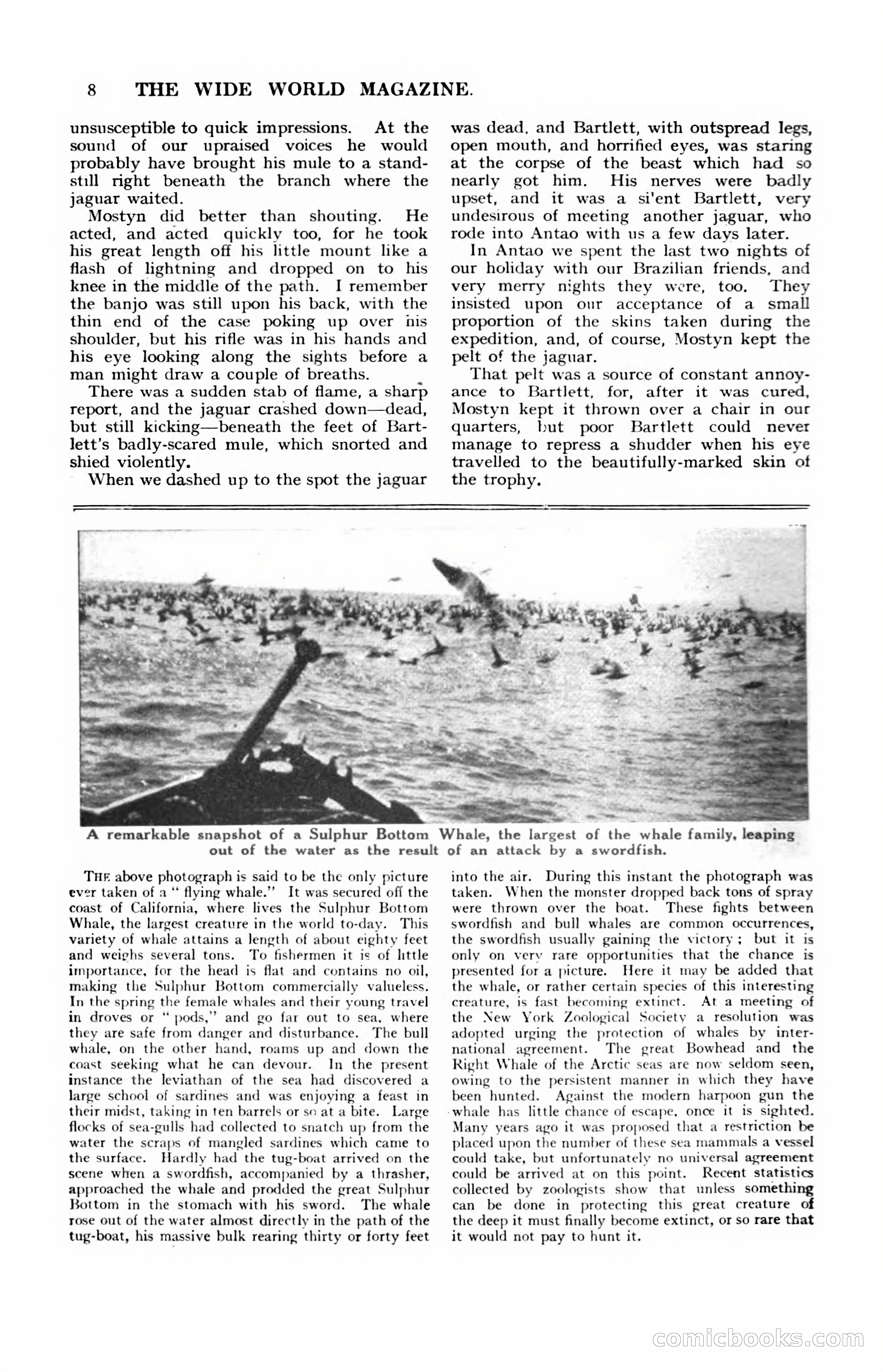 The Wide World, November 1920 — page 18 of 98