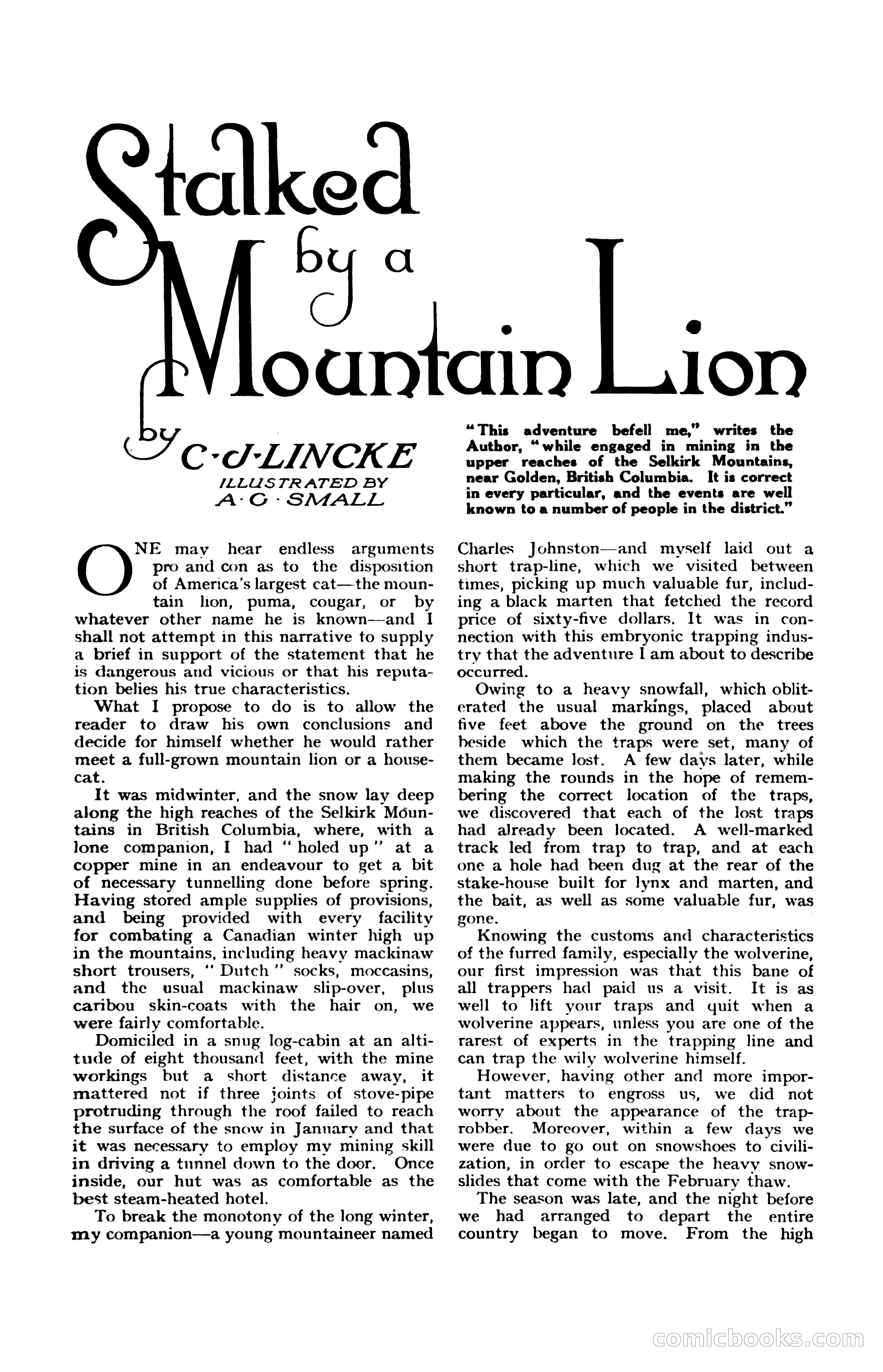 The Wide World, November 1920 — page 19 of 98