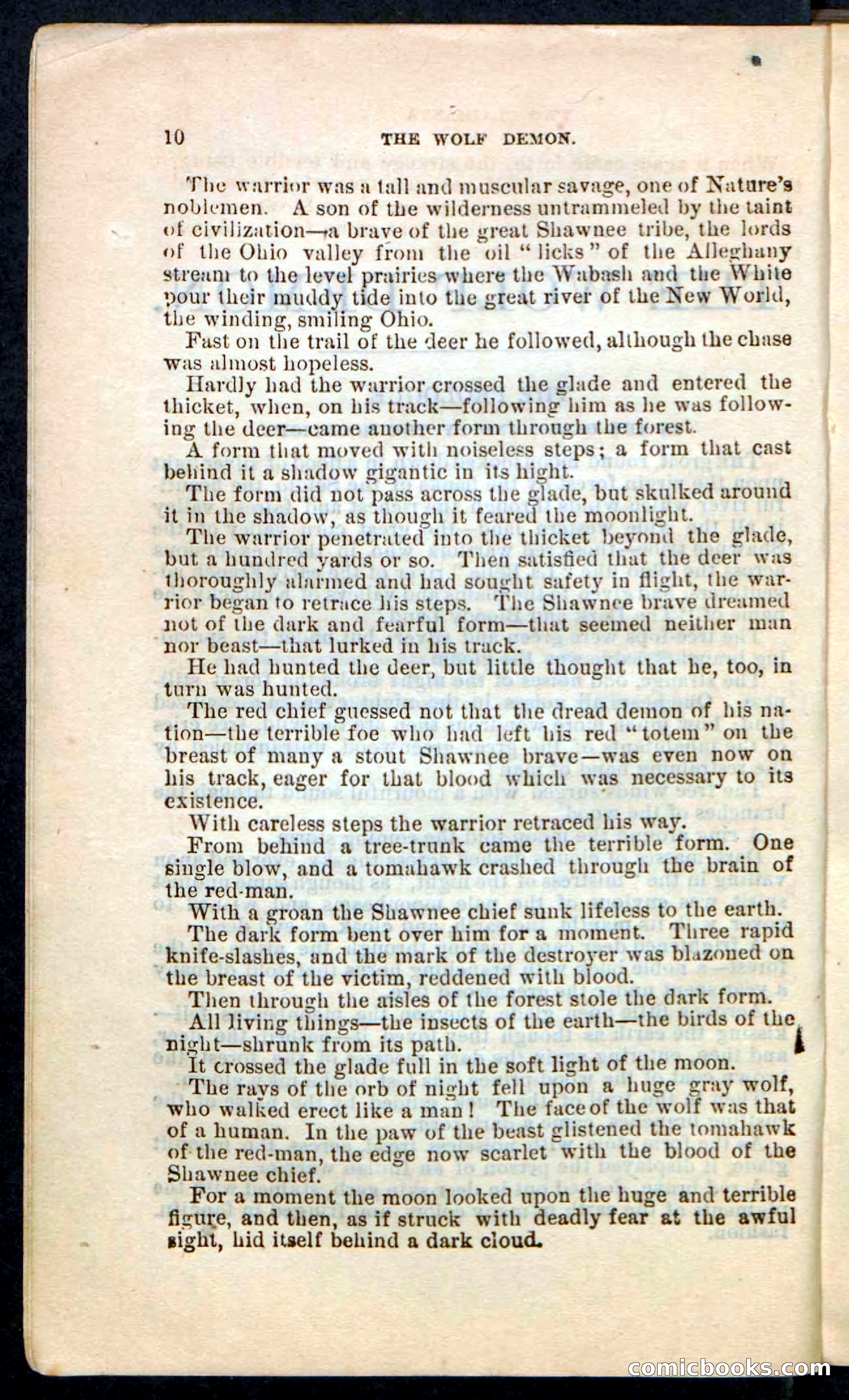The Wolf-Demon, or The Red Arrow of the Far West — page 6 of 194