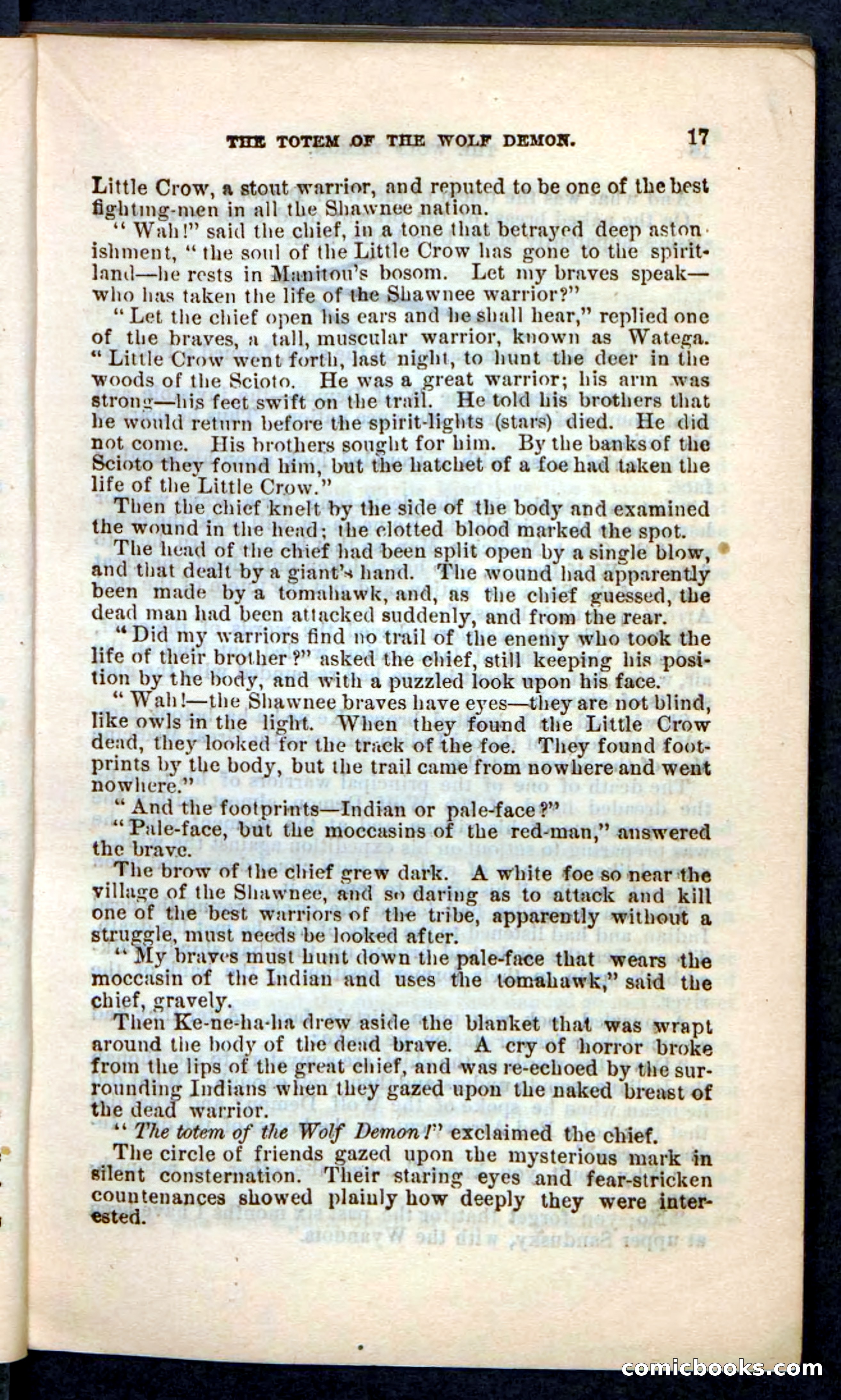 The Wolf-Demon, or The Red Arrow of the Far West — page 13 of 194