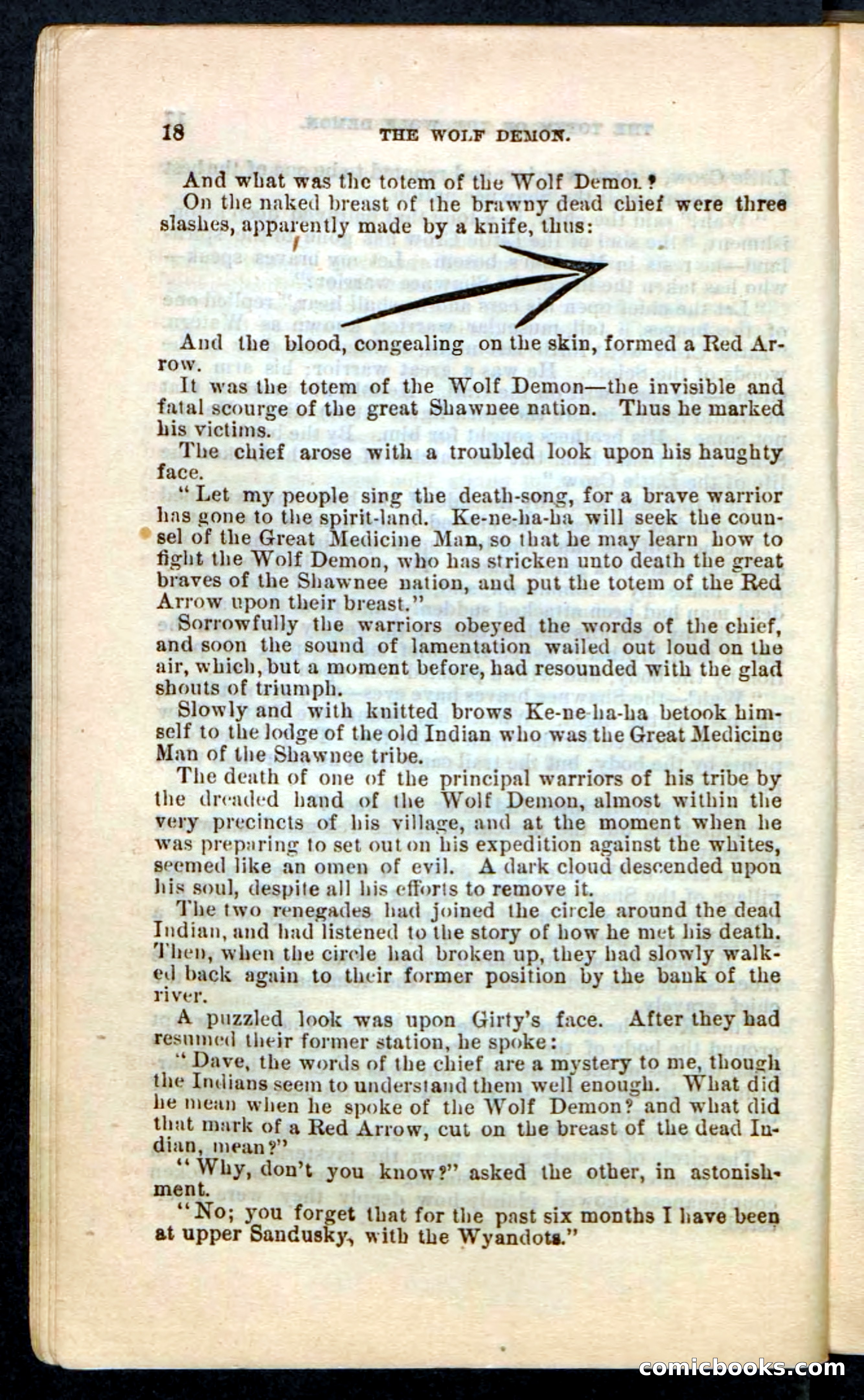 The Wolf-Demon, or The Red Arrow of the Far West — page 14 of 194