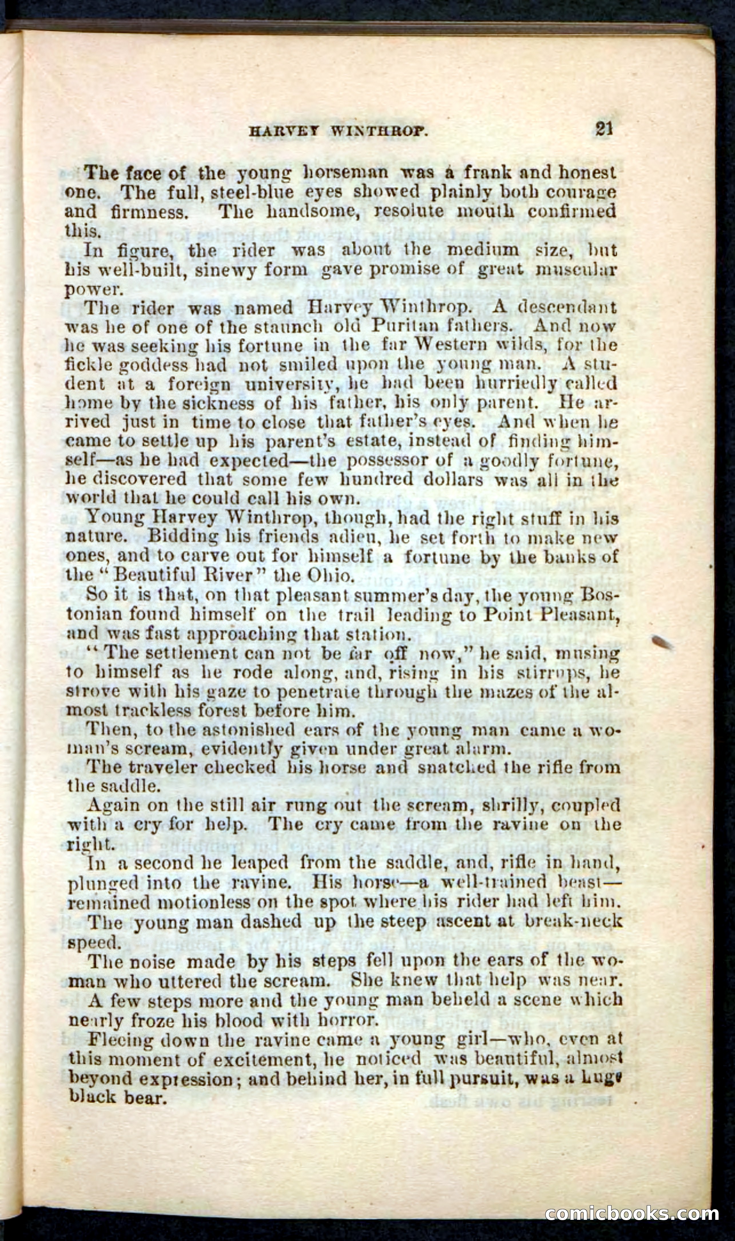 The Wolf-Demon, or The Red Arrow of the Far West — page 17 of 194