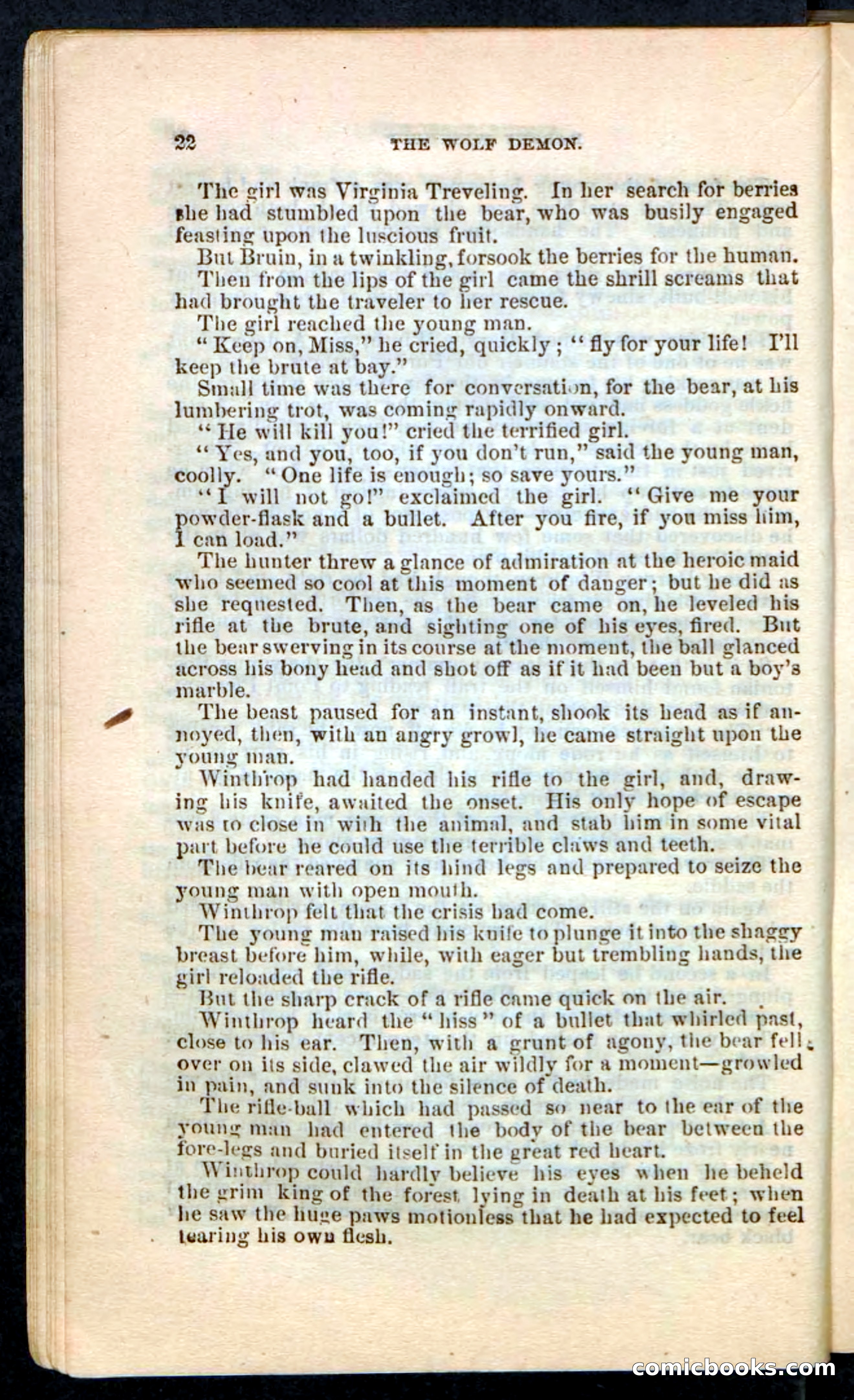 The Wolf-Demon, or The Red Arrow of the Far West — page 18 of 194