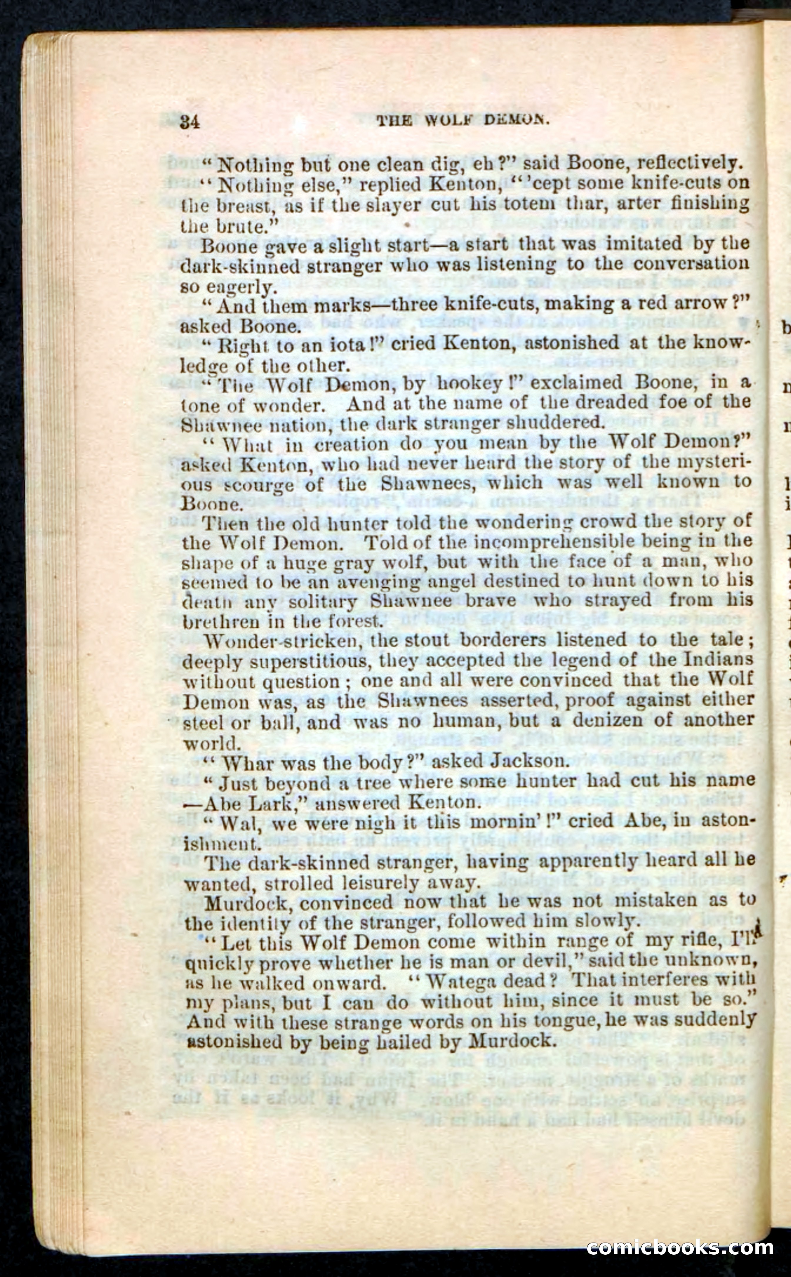 The Wolf-Demon, or The Red Arrow of the Far West — page 30 of 194