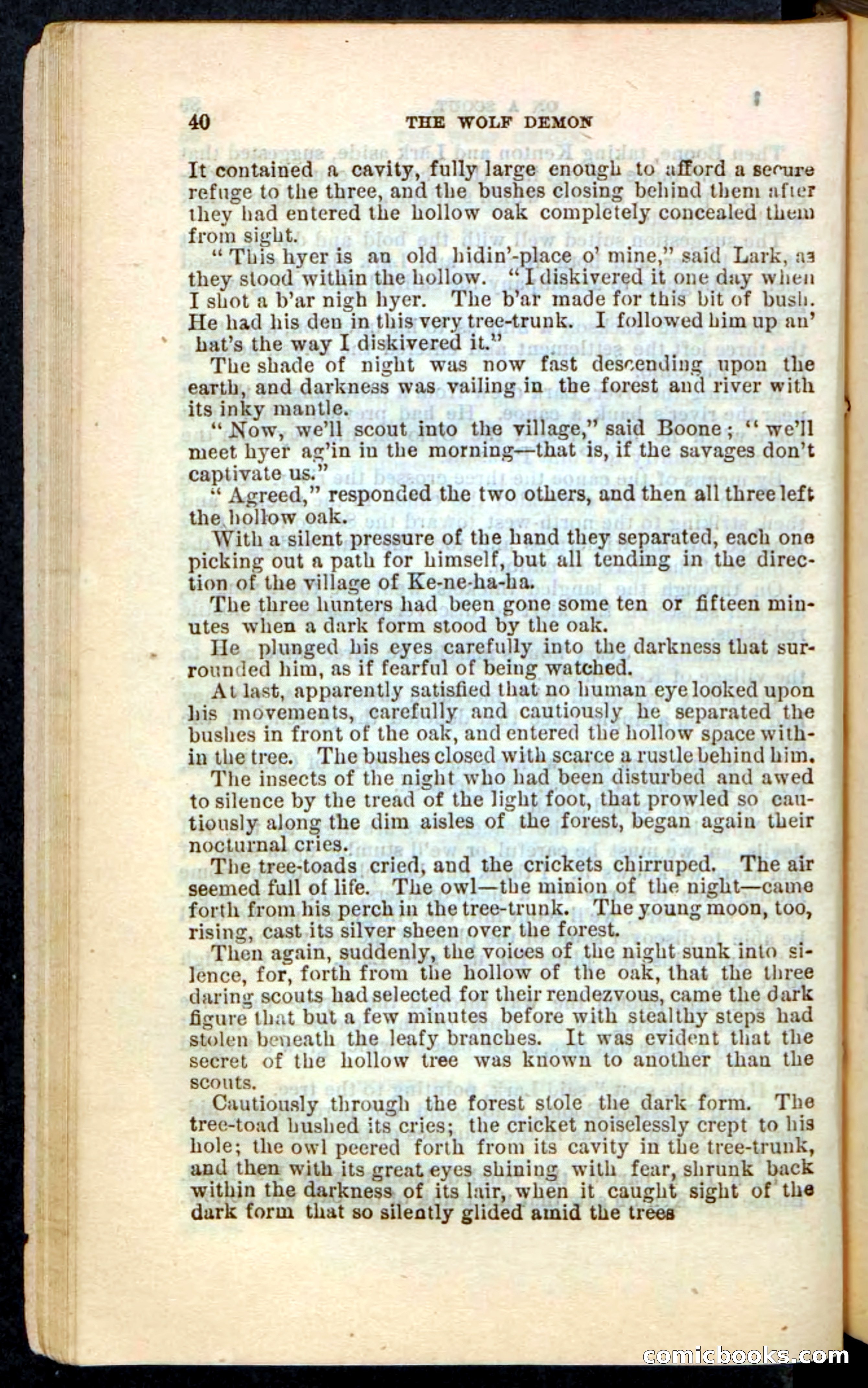 The Wolf-Demon, or The Red Arrow of the Far West — page 36 of 194