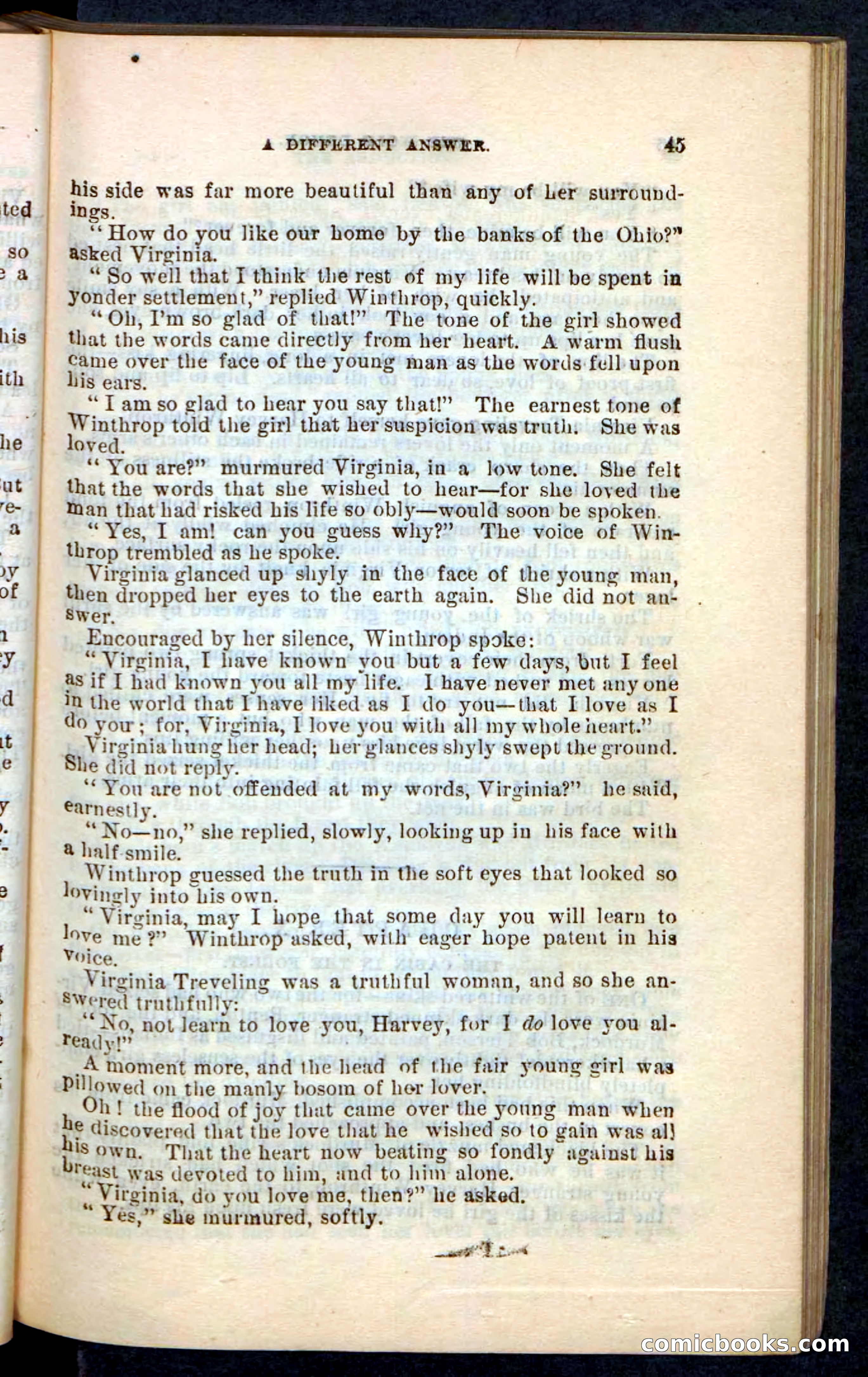The Wolf-Demon, or The Red Arrow of the Far West — page 41 of 194