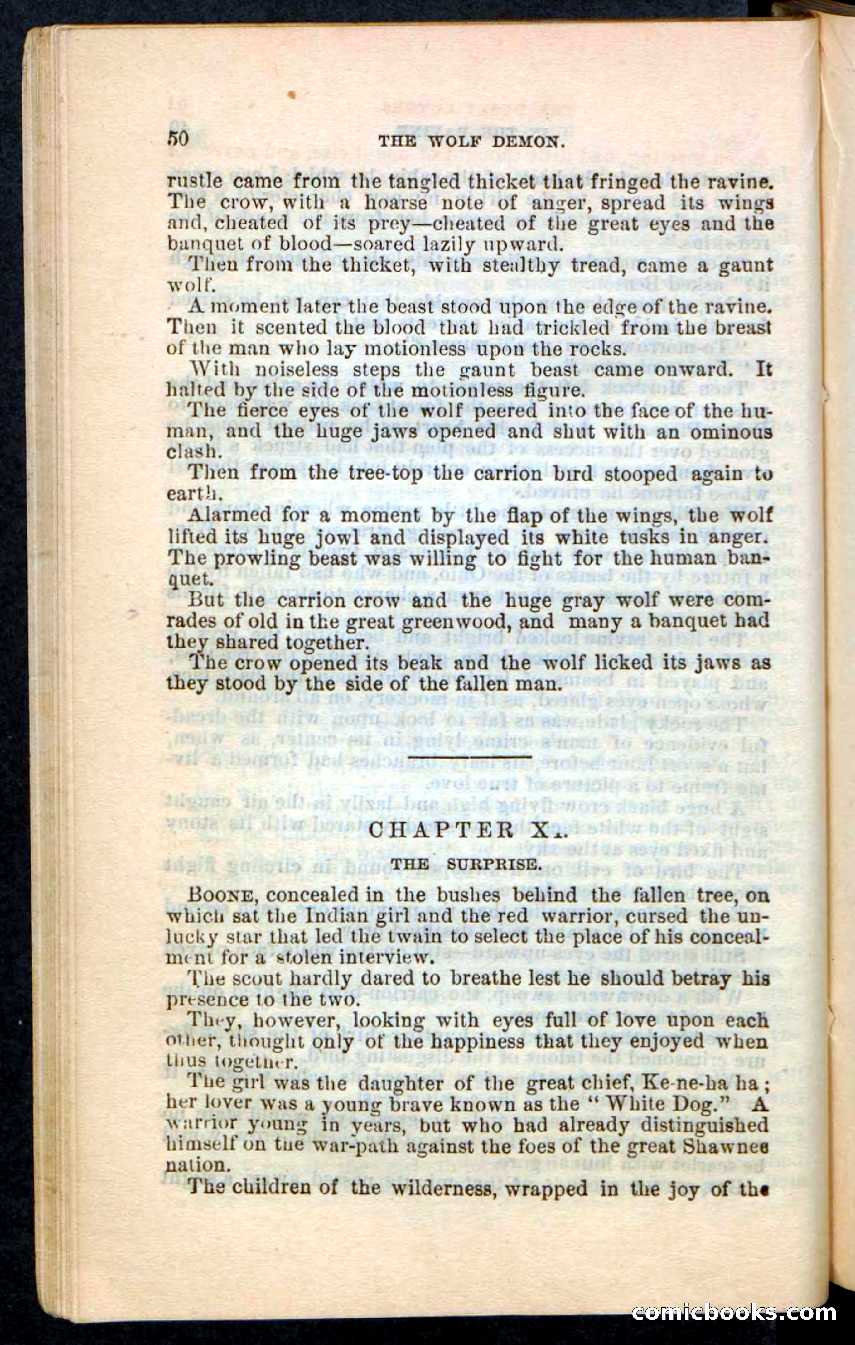 The Wolf-Demon, or The Red Arrow of the Far West — page 46 of 194
