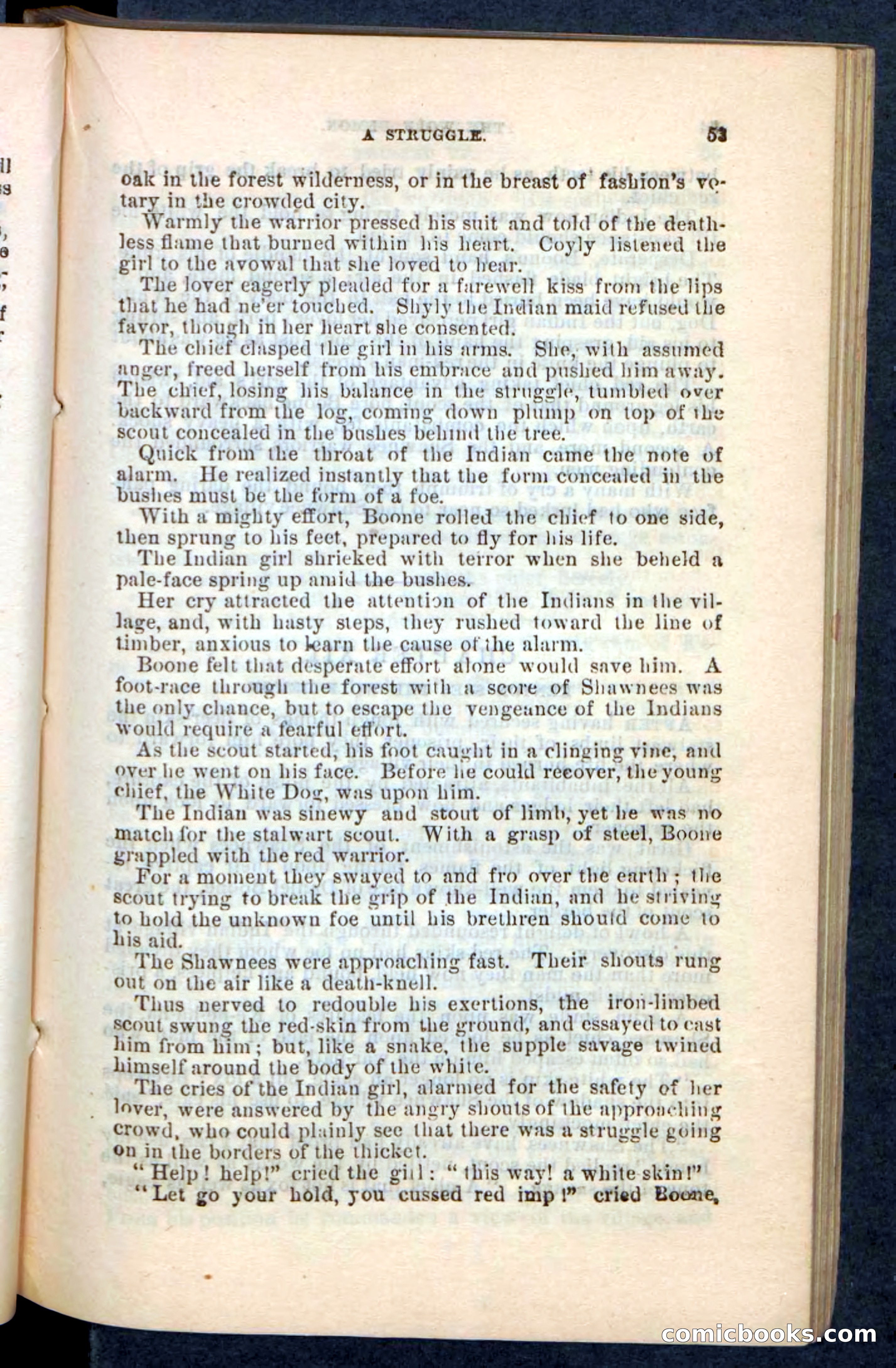 The Wolf-Demon, or The Red Arrow of the Far West — page 49 of 194