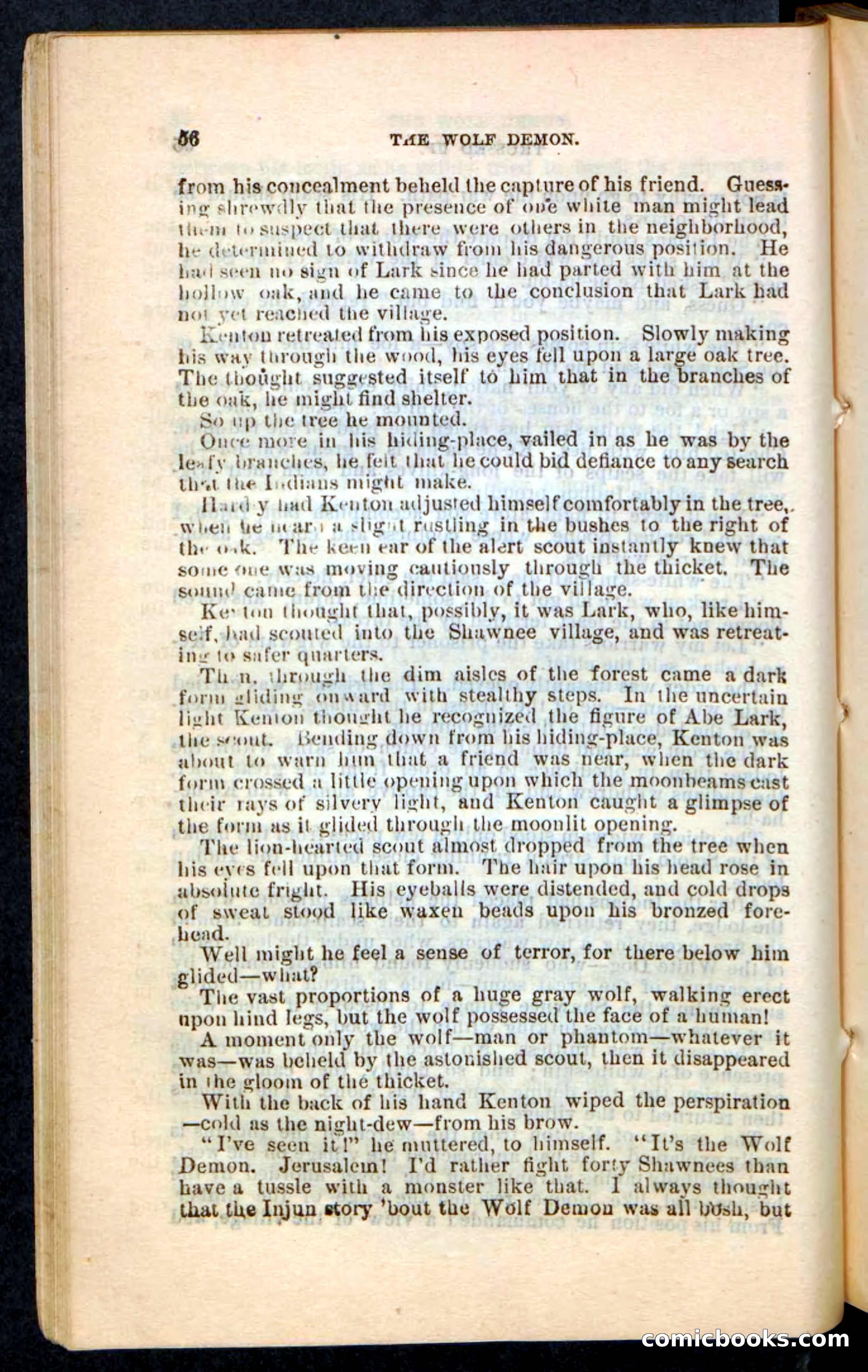 The Wolf-Demon, or The Red Arrow of the Far West — page 52 of 194