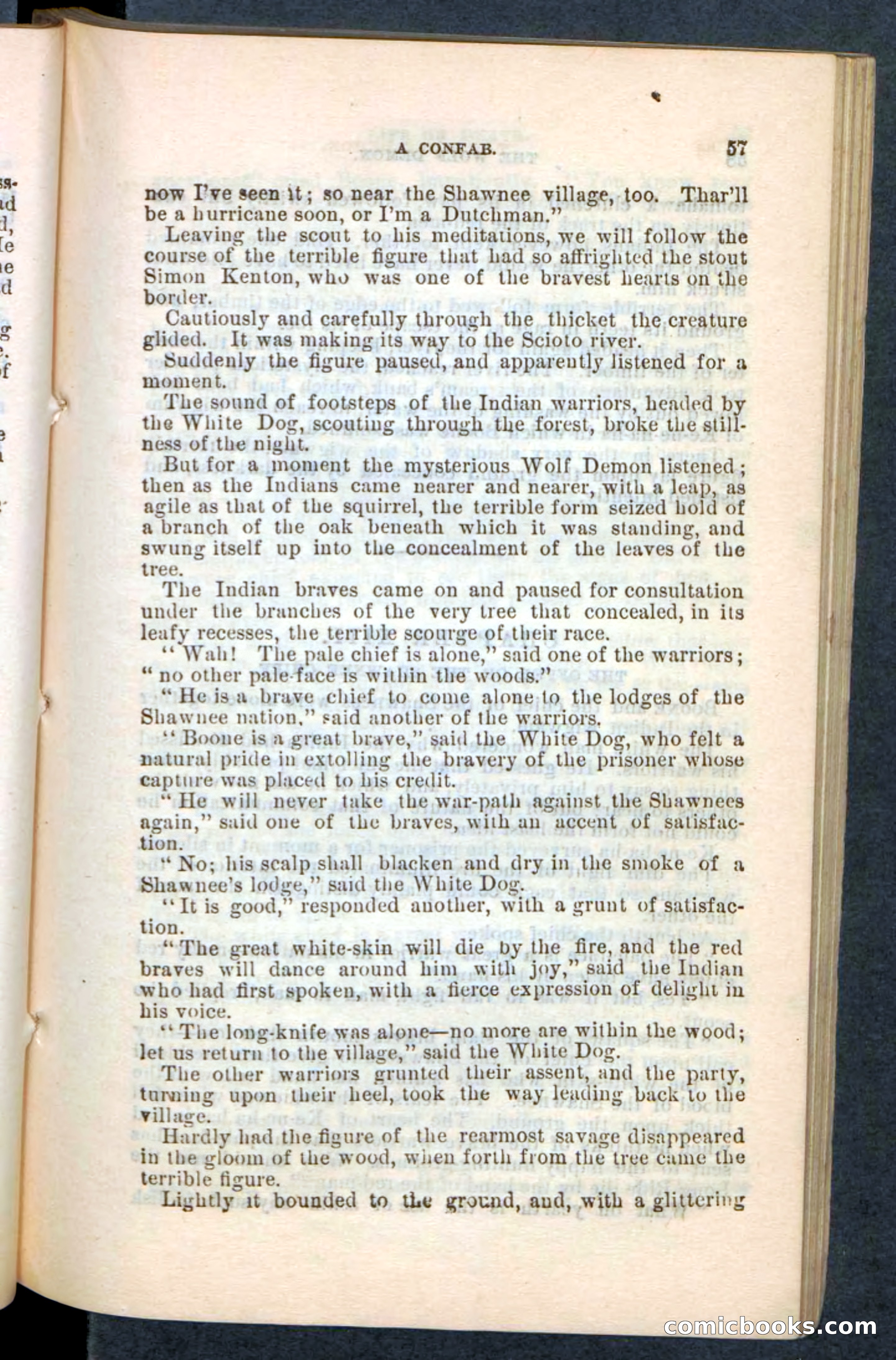 The Wolf-Demon, or The Red Arrow of the Far West — page 53 of 194