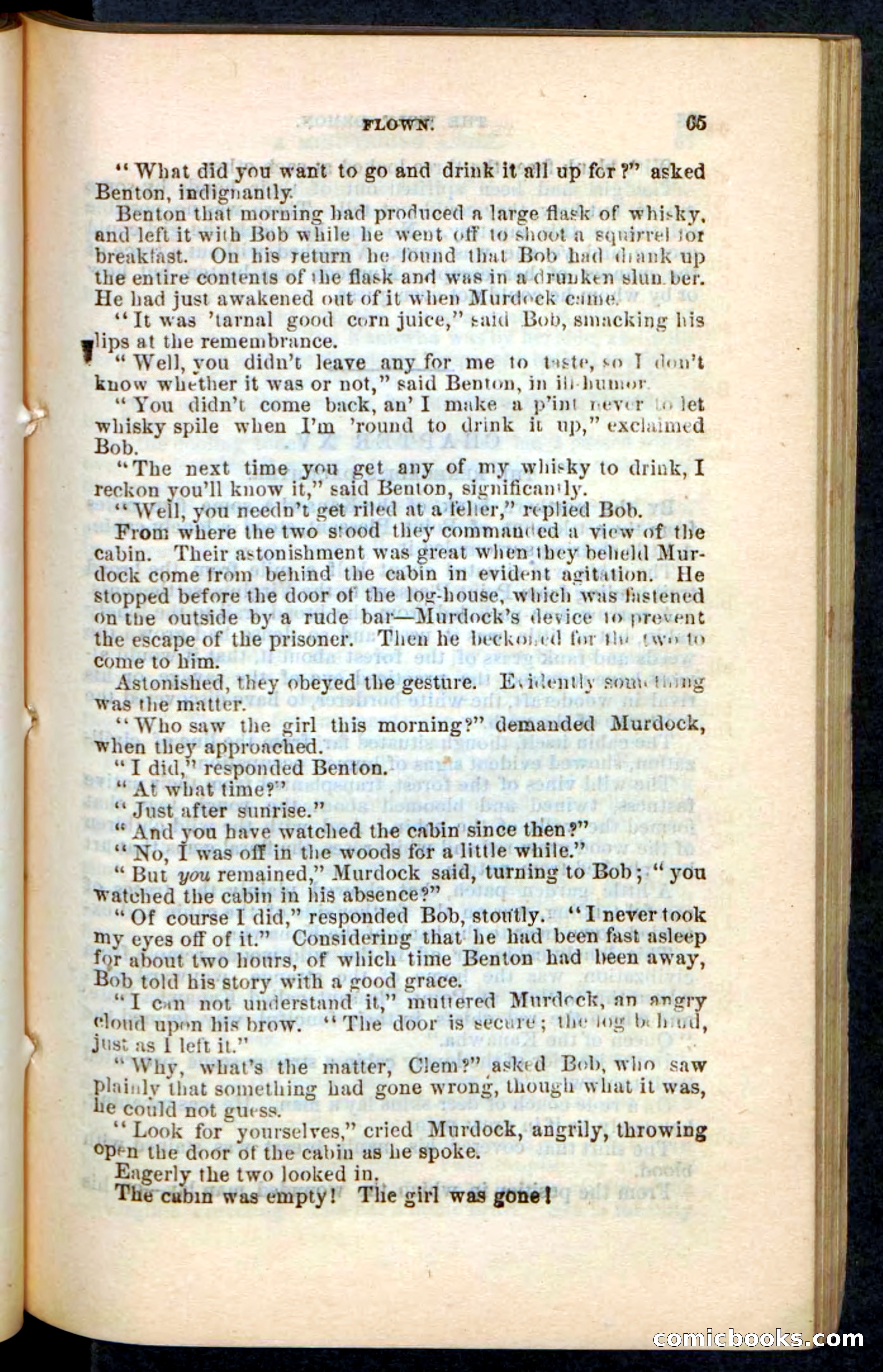 The Wolf-Demon, or The Red Arrow of the Far West — page 61 of 194