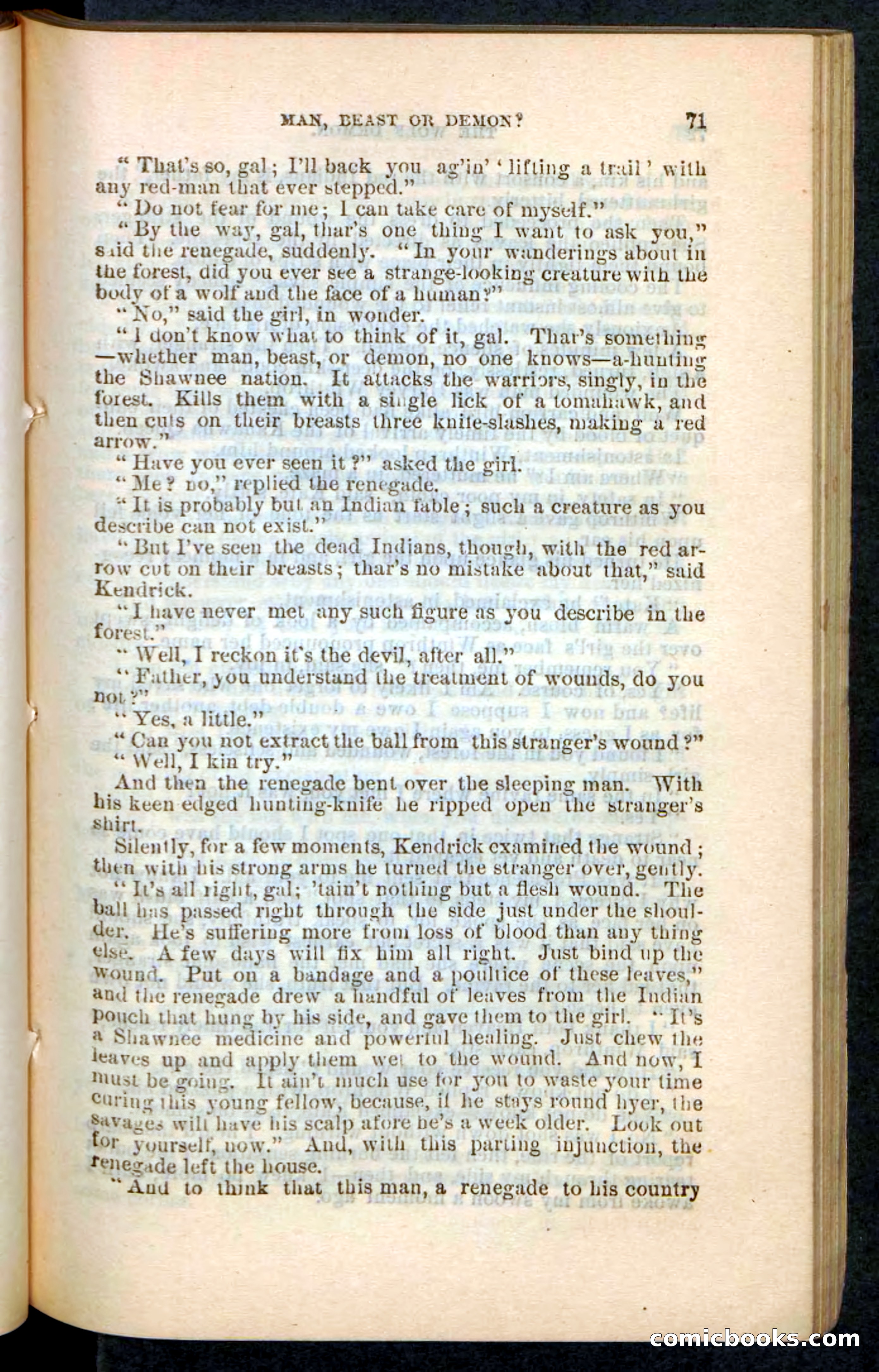 The Wolf-Demon, or The Red Arrow of the Far West — page 67 of 194