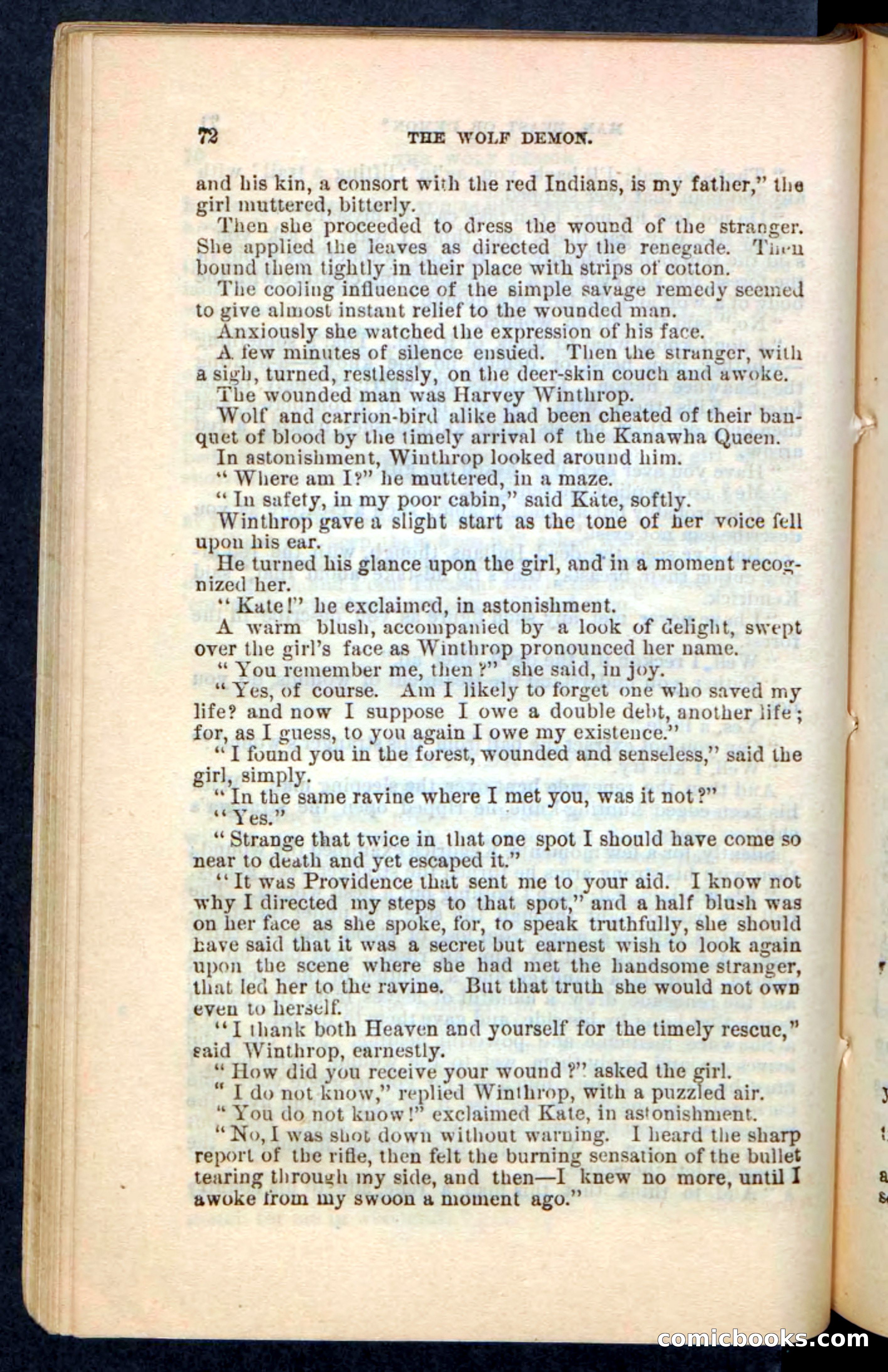 The Wolf-Demon, or The Red Arrow of the Far West — page 68 of 194