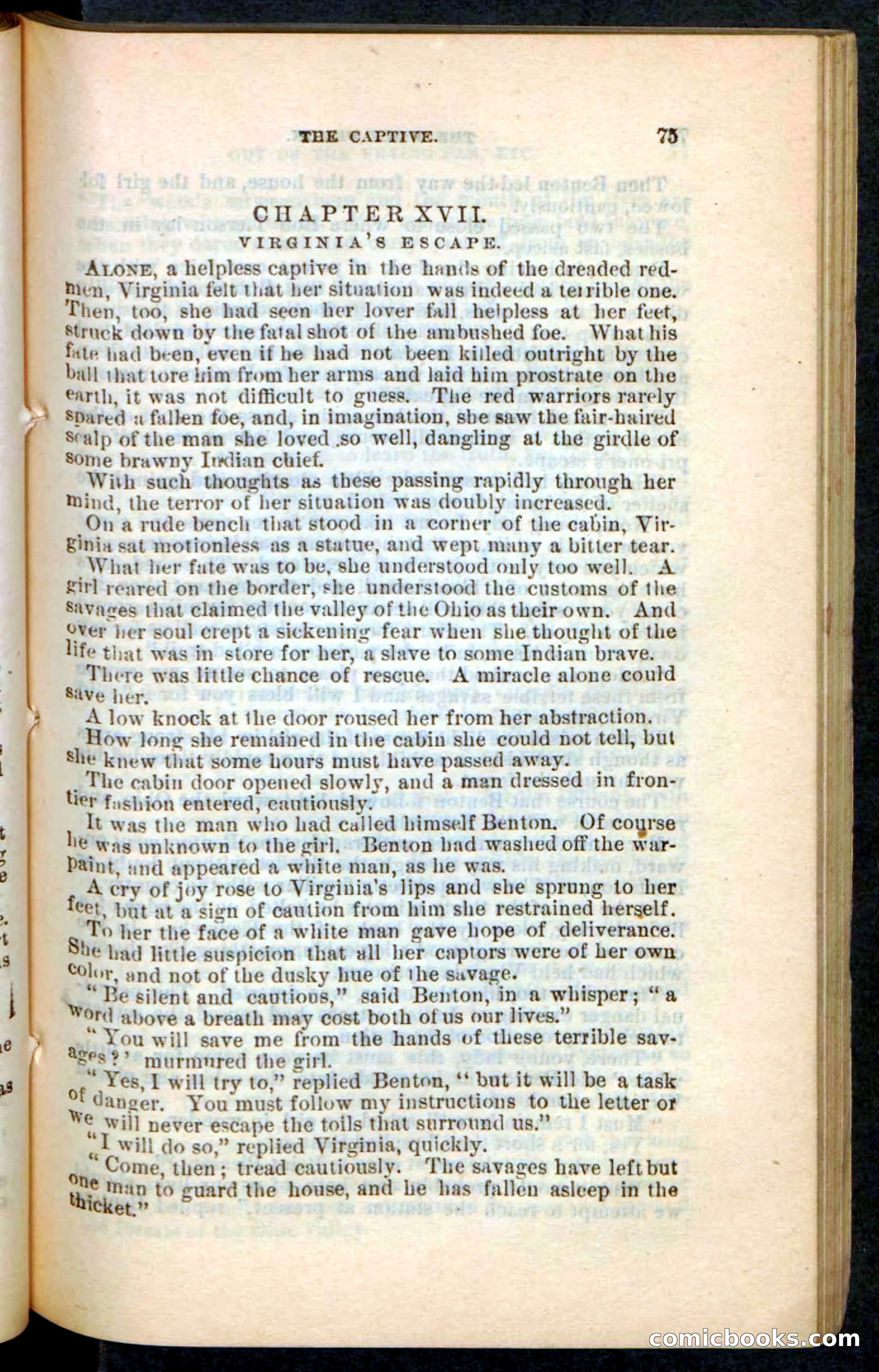 The Wolf-Demon, or The Red Arrow of the Far West — page 71 of 194