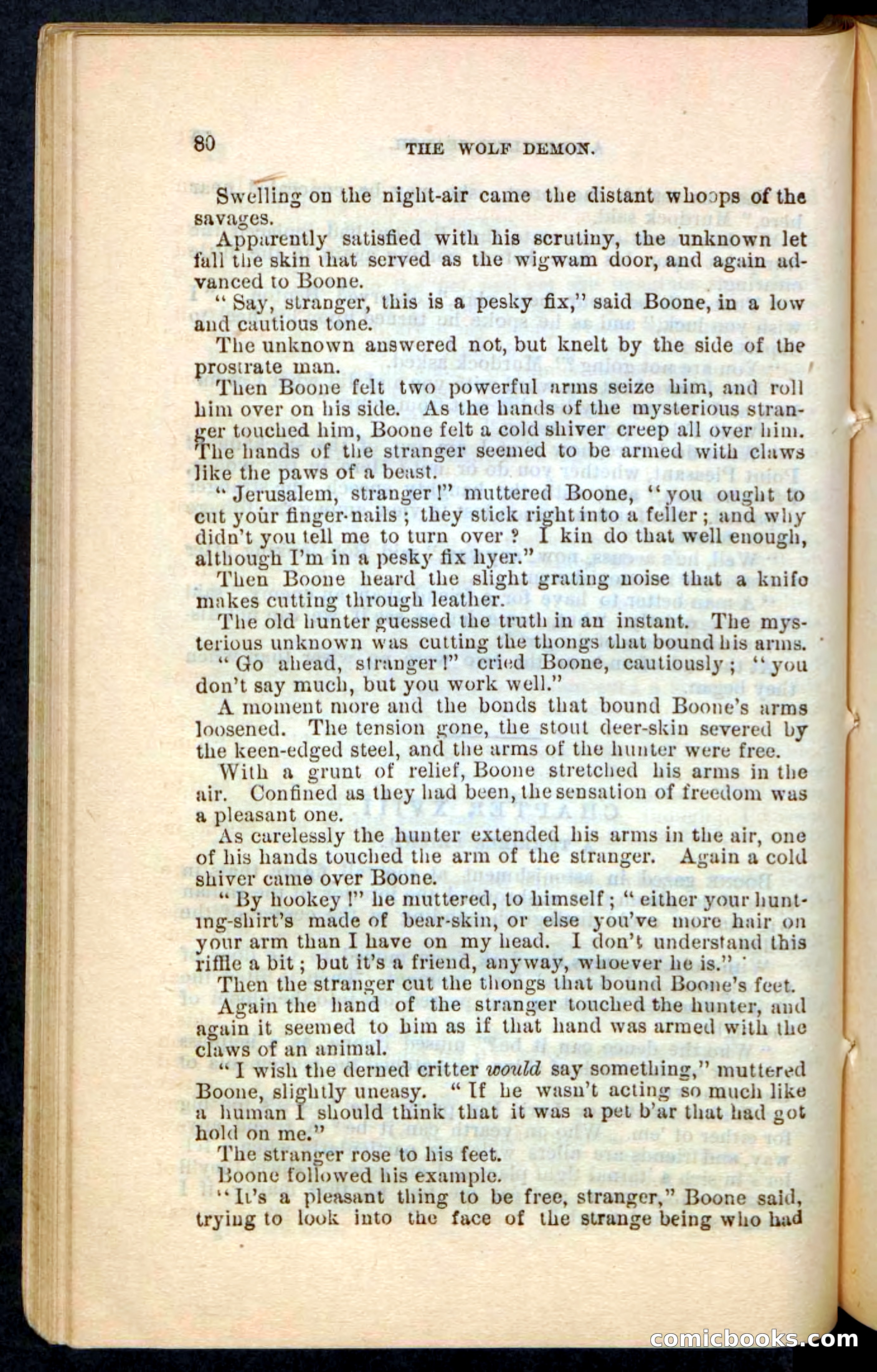 The Wolf-Demon, or The Red Arrow of the Far West — page 76 of 194