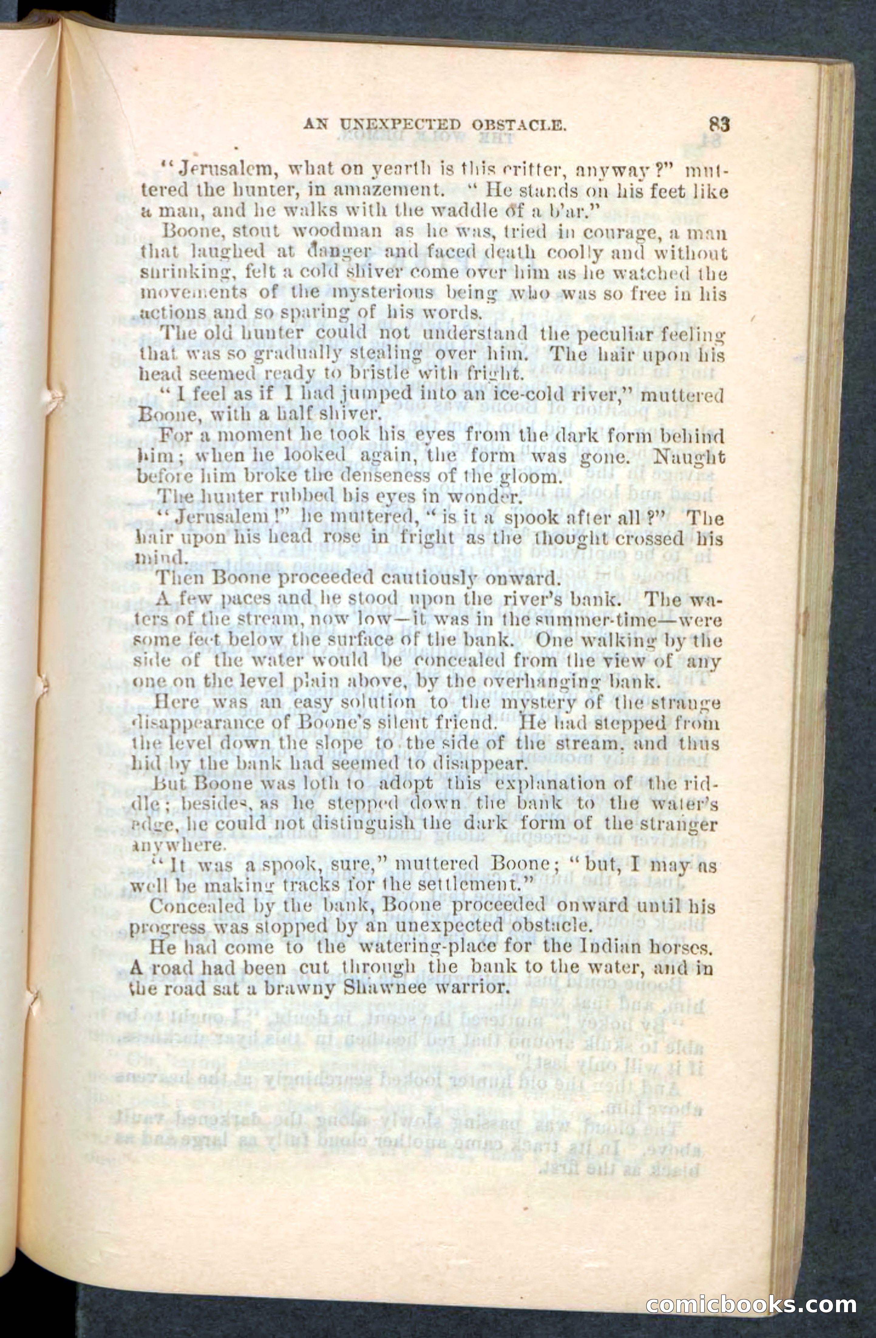 The Wolf-Demon, or The Red Arrow of the Far West — page 79 of 194
