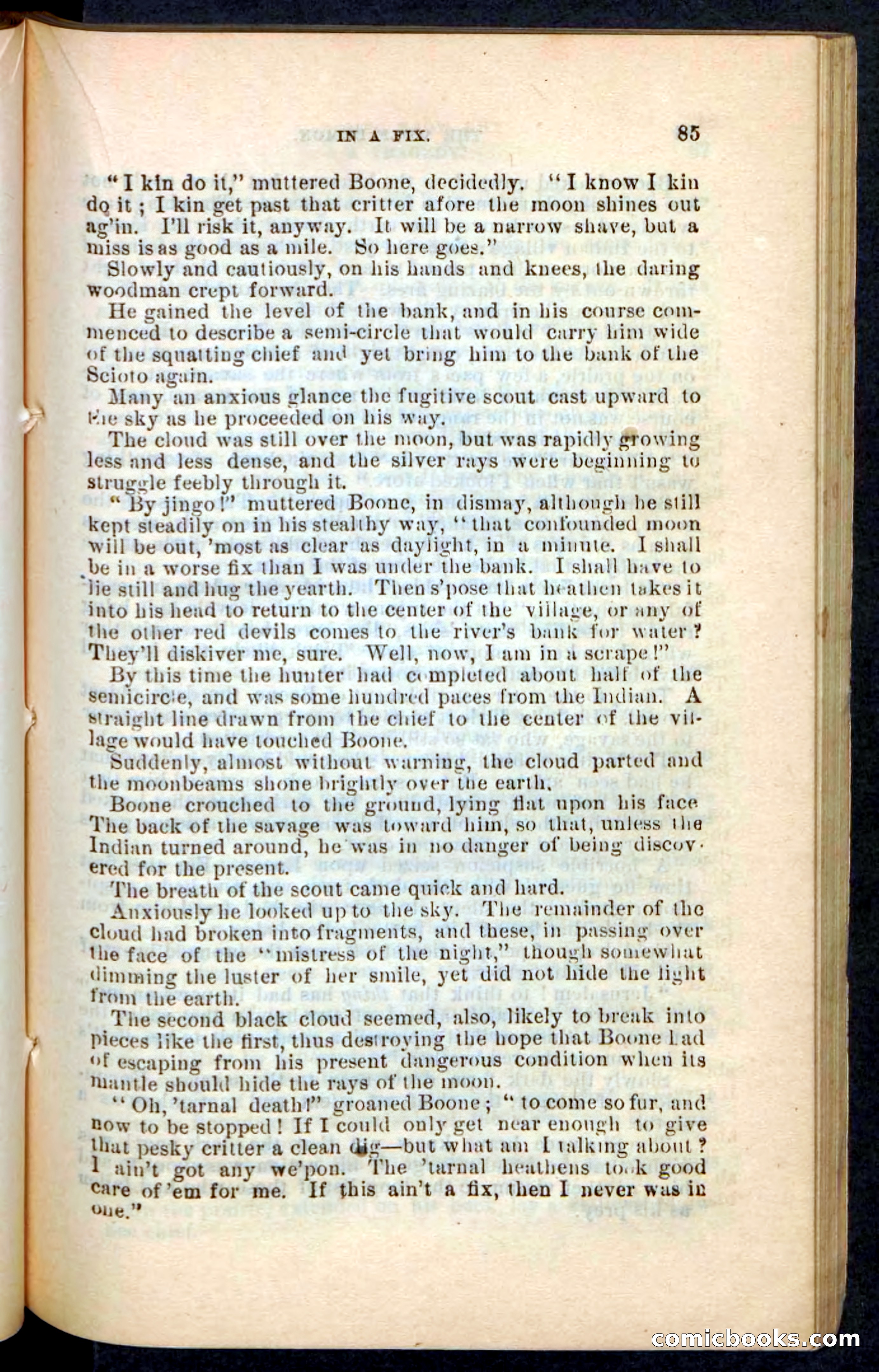The Wolf-Demon, or The Red Arrow of the Far West — page 81 of 194