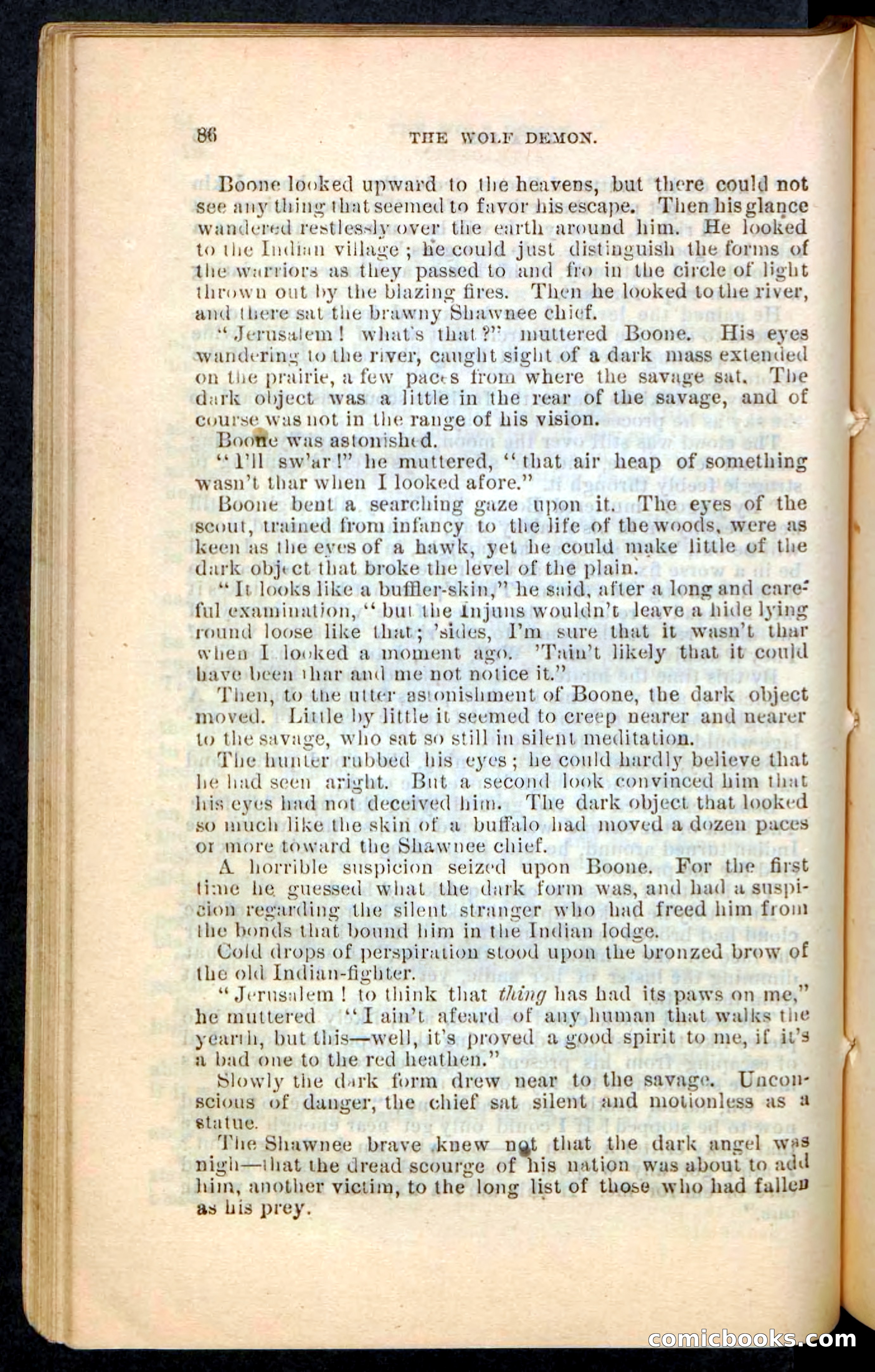 The Wolf-Demon, or The Red Arrow of the Far West — page 82 of 194