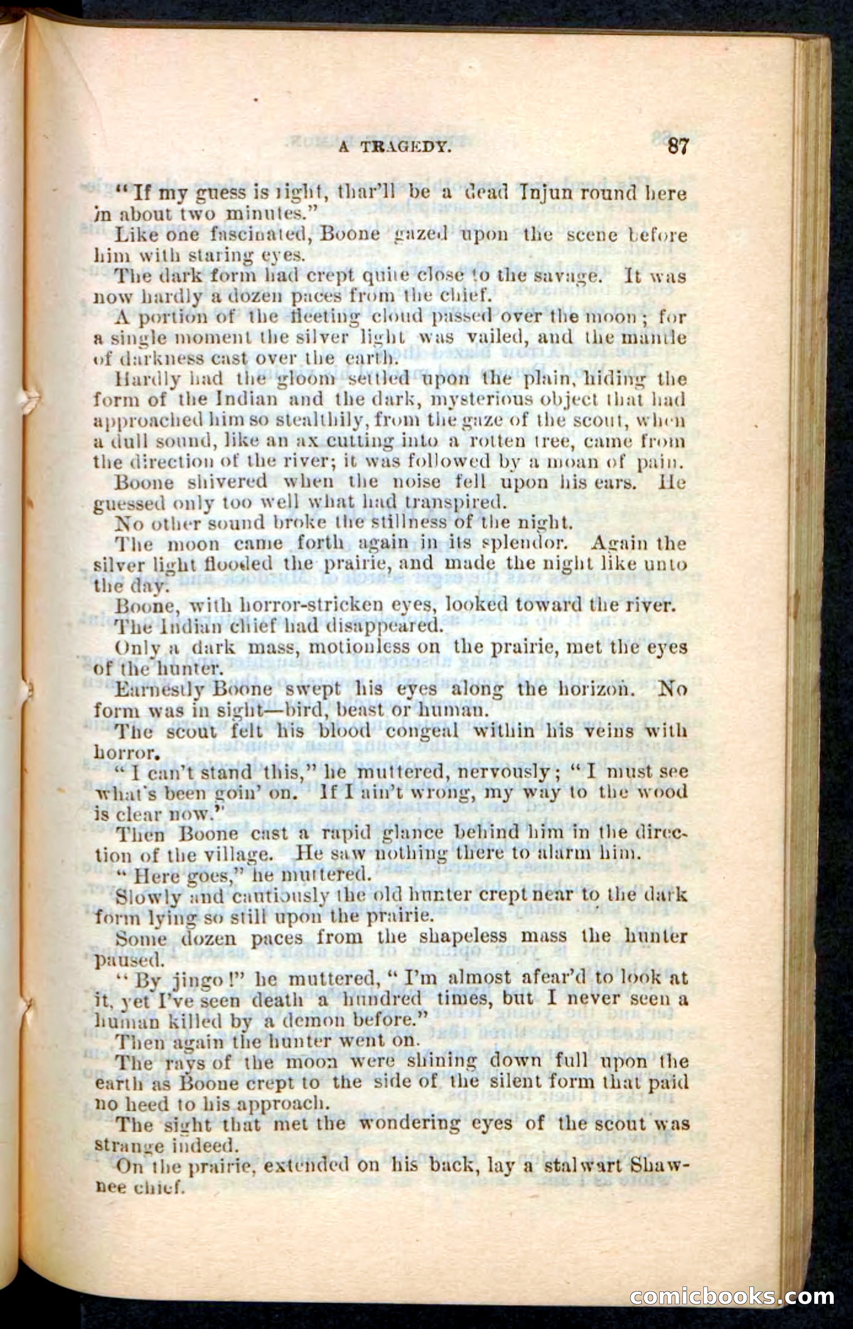 The Wolf-Demon, or The Red Arrow of the Far West — page 83 of 194