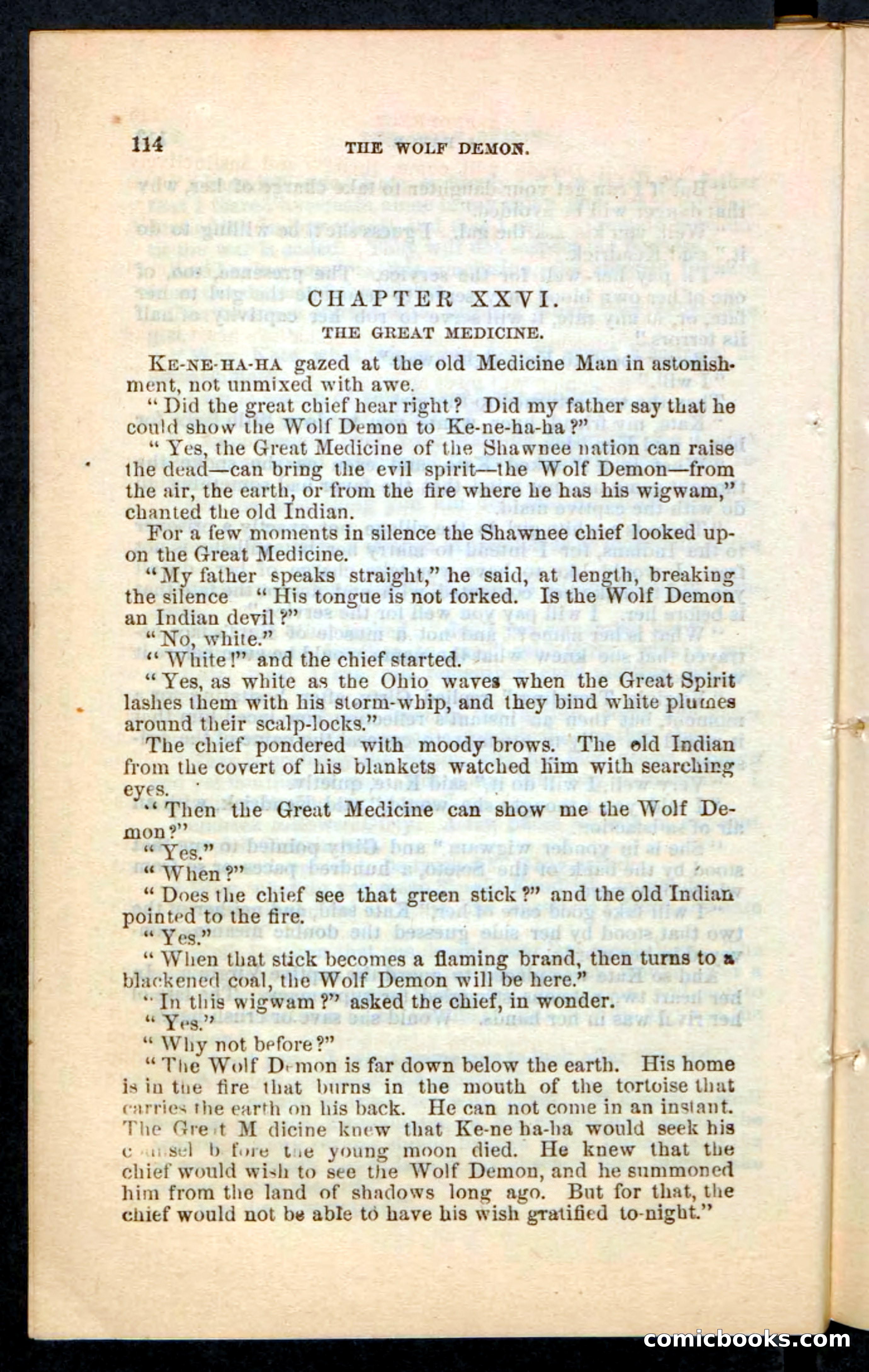 The Wolf-Demon, or The Red Arrow of the Far West — page 110 of 194