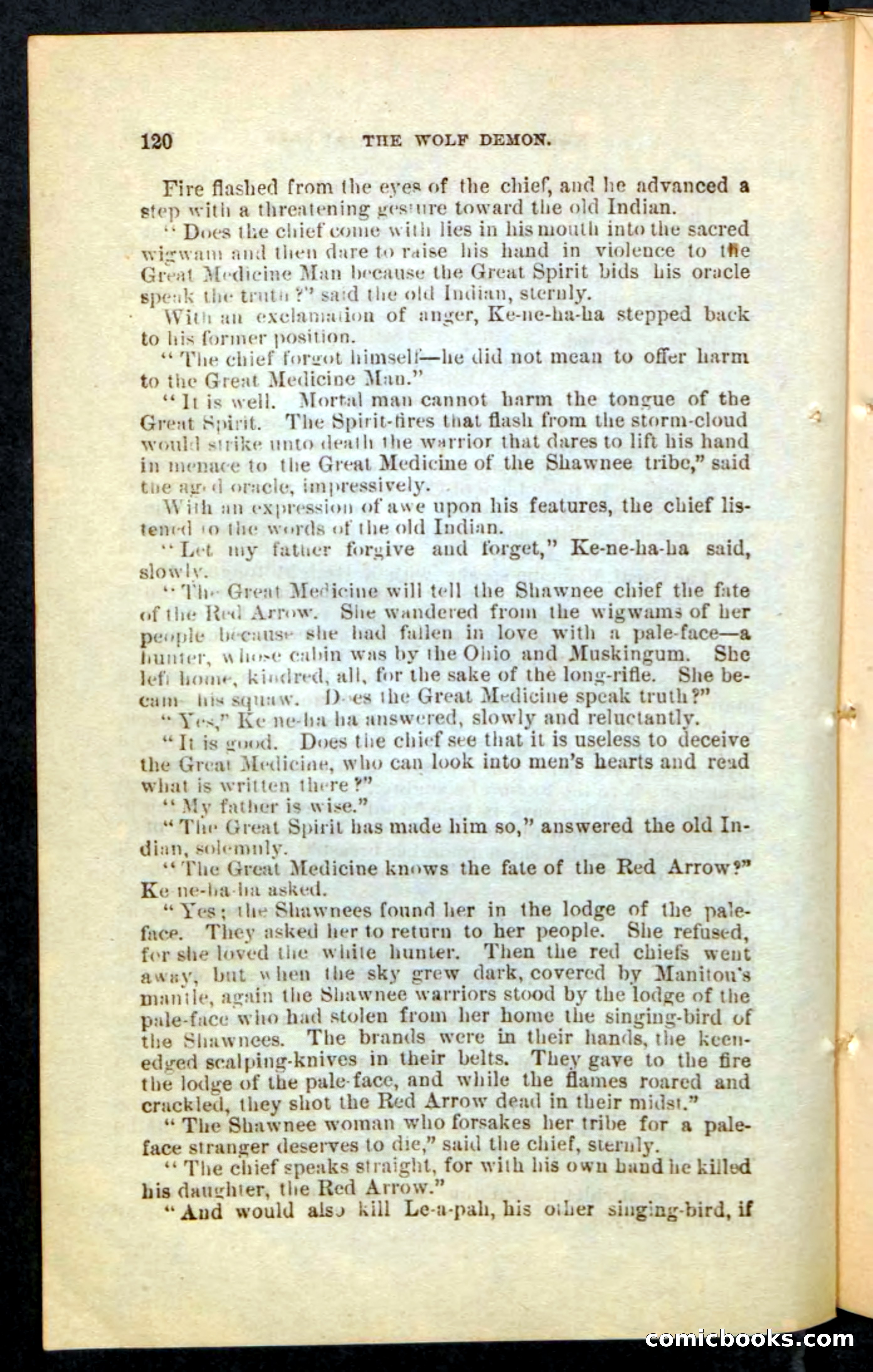 The Wolf-Demon, or The Red Arrow of the Far West — page 116 of 194